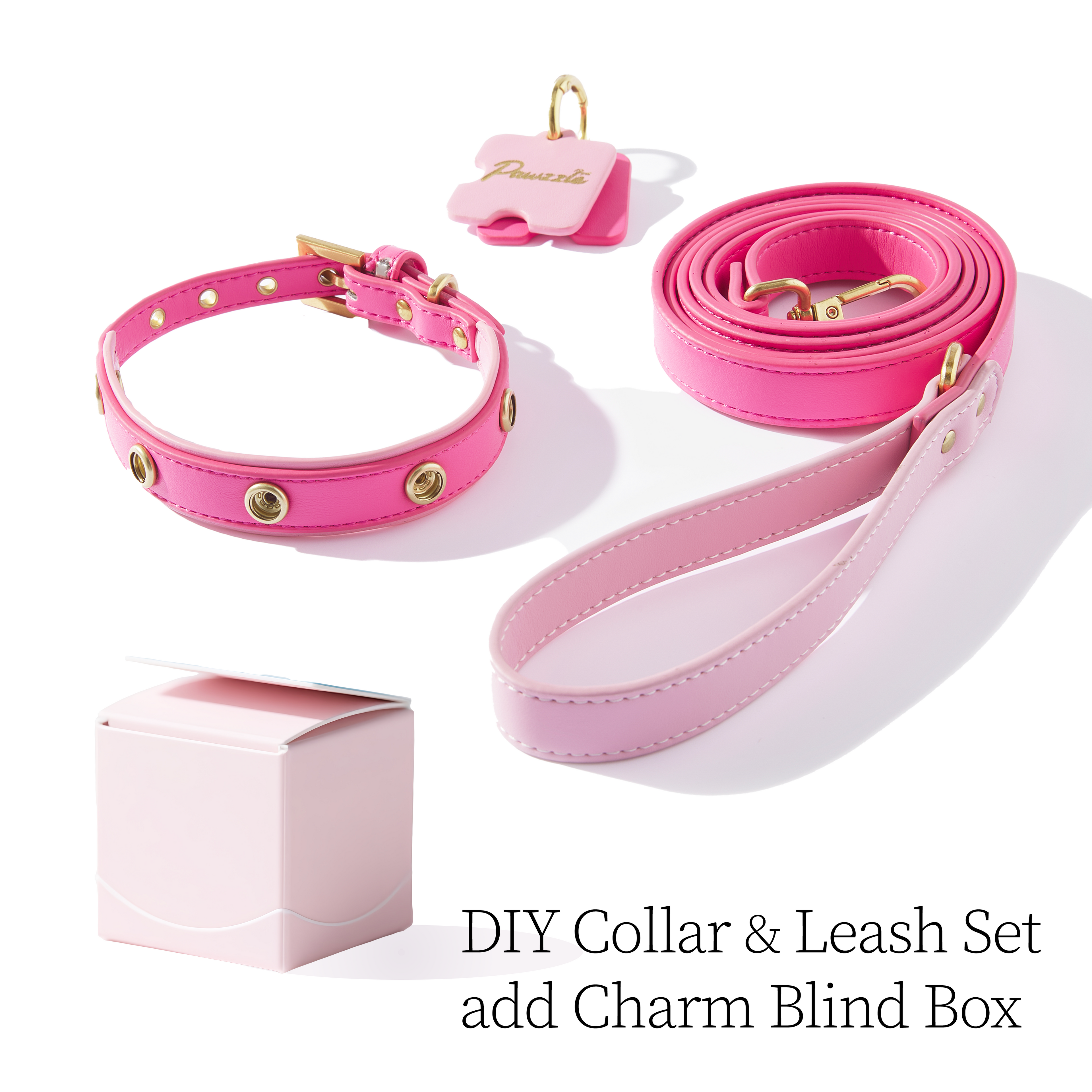 DIY Pet Collar&Leash Set