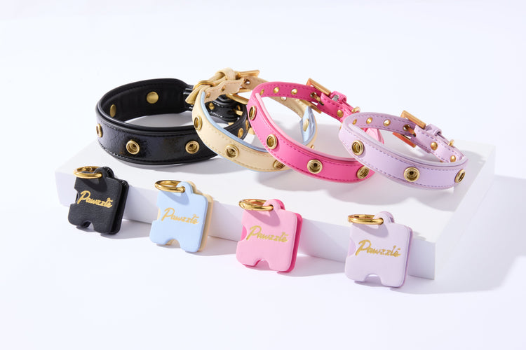 All Collars