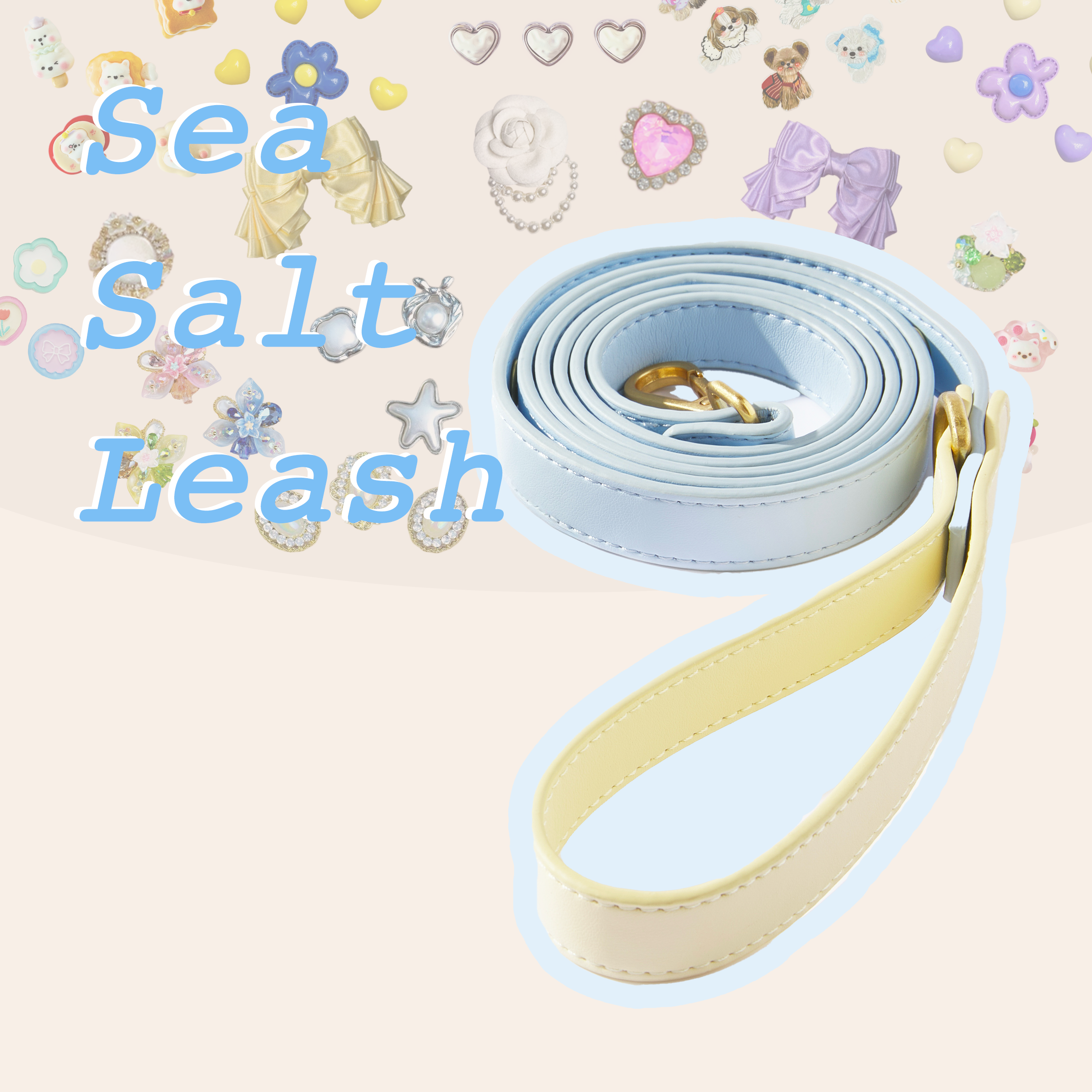 Sea Salt Blue Pet Leash