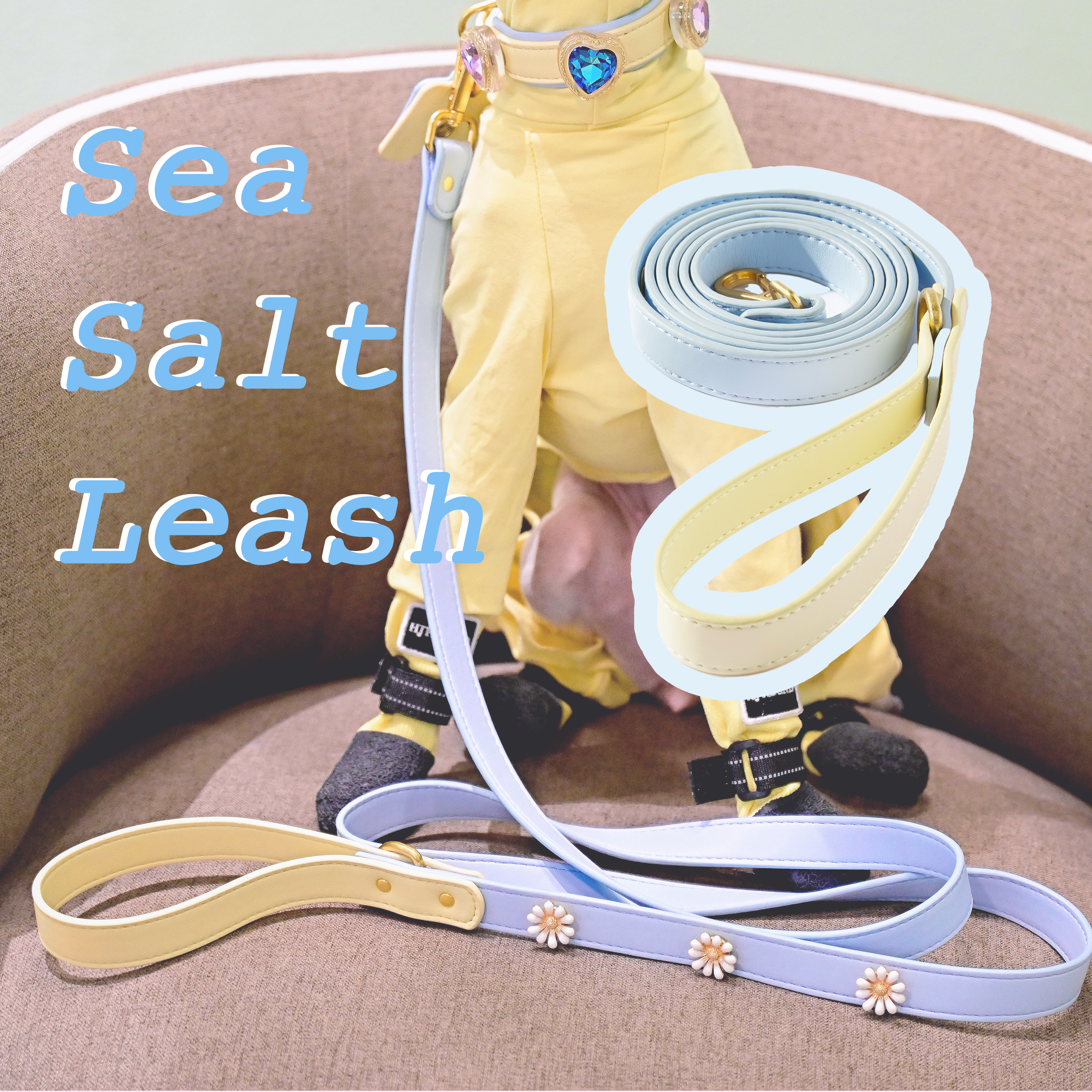Sea Salt Blue Pet Leash