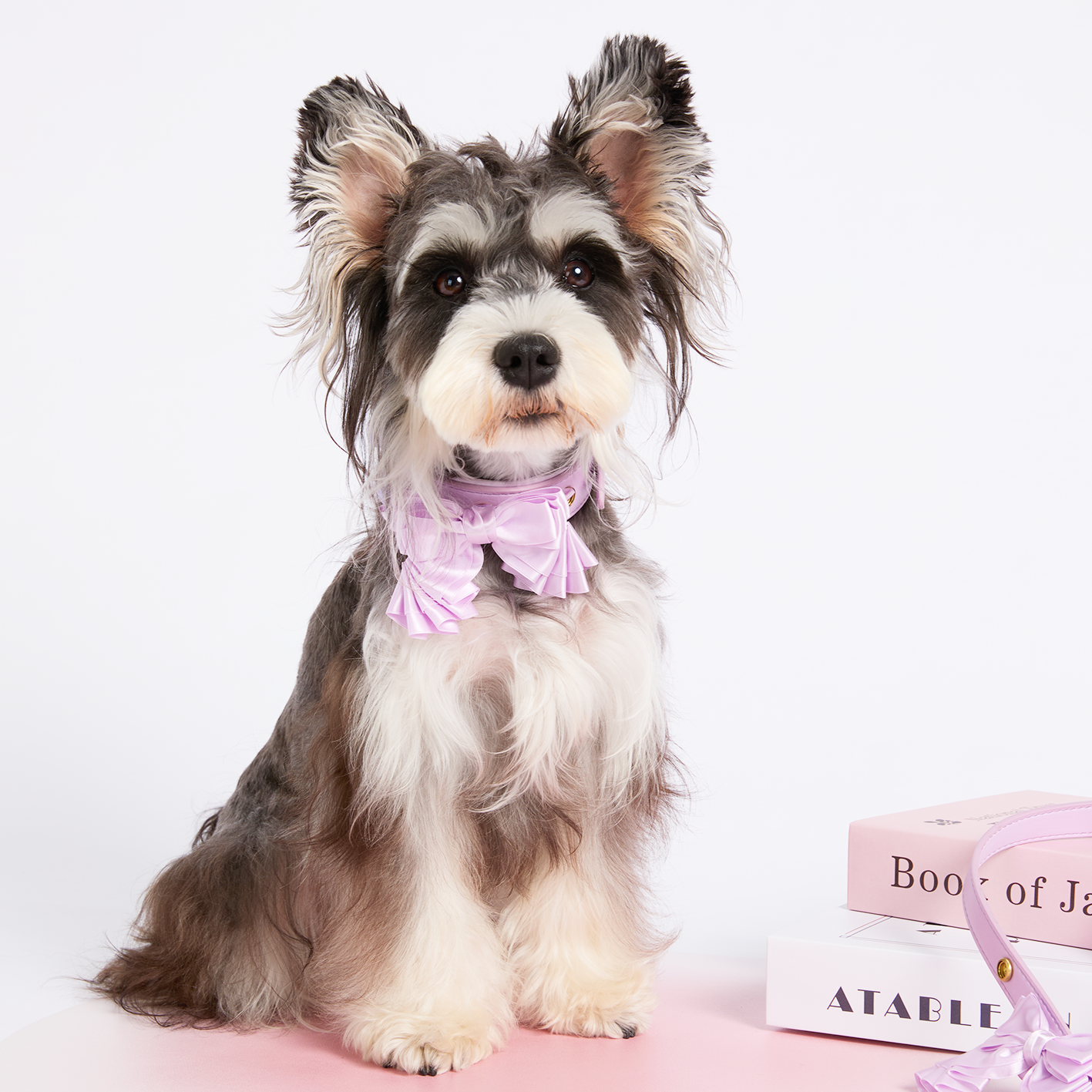 Sweetheart Bow Collar Leash Set