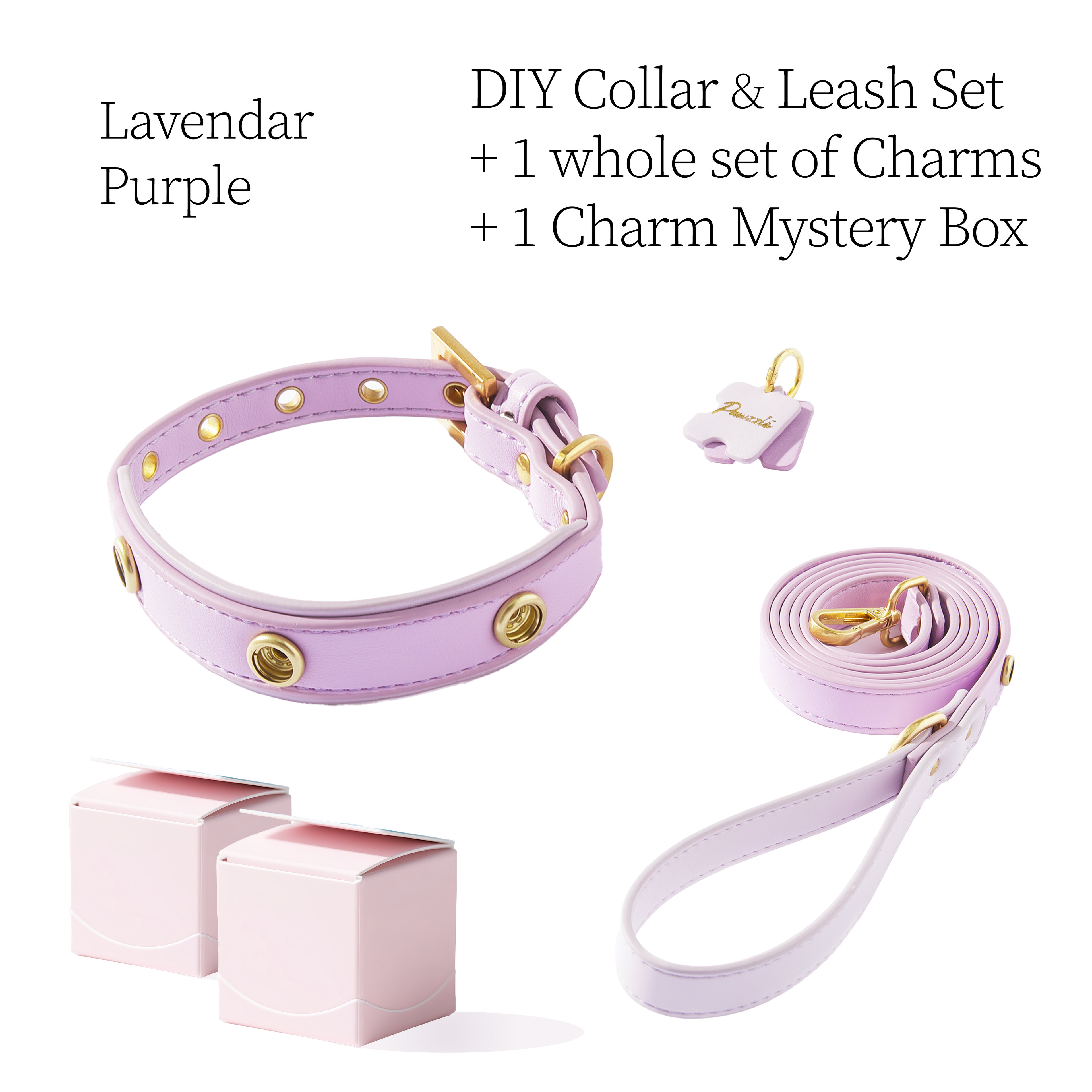 DIY Pet Collar+Leash+Charm Set