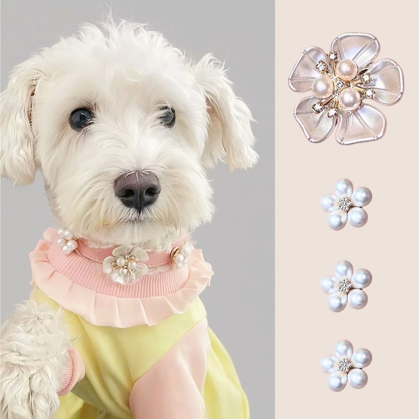Pearl Flower Pet Charm – Stylish & Elegant