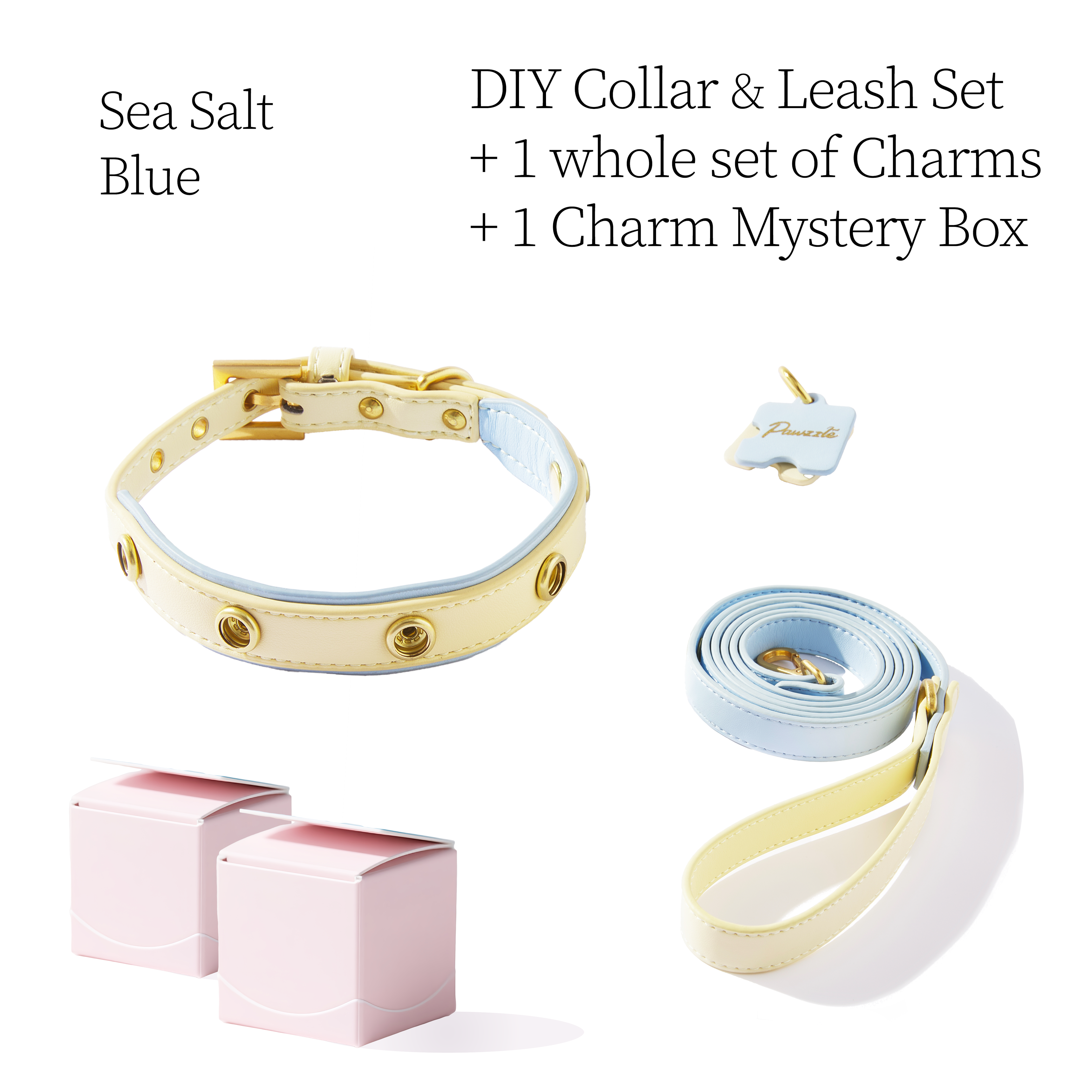 DIY Pet Collar+Leash+Charm Set