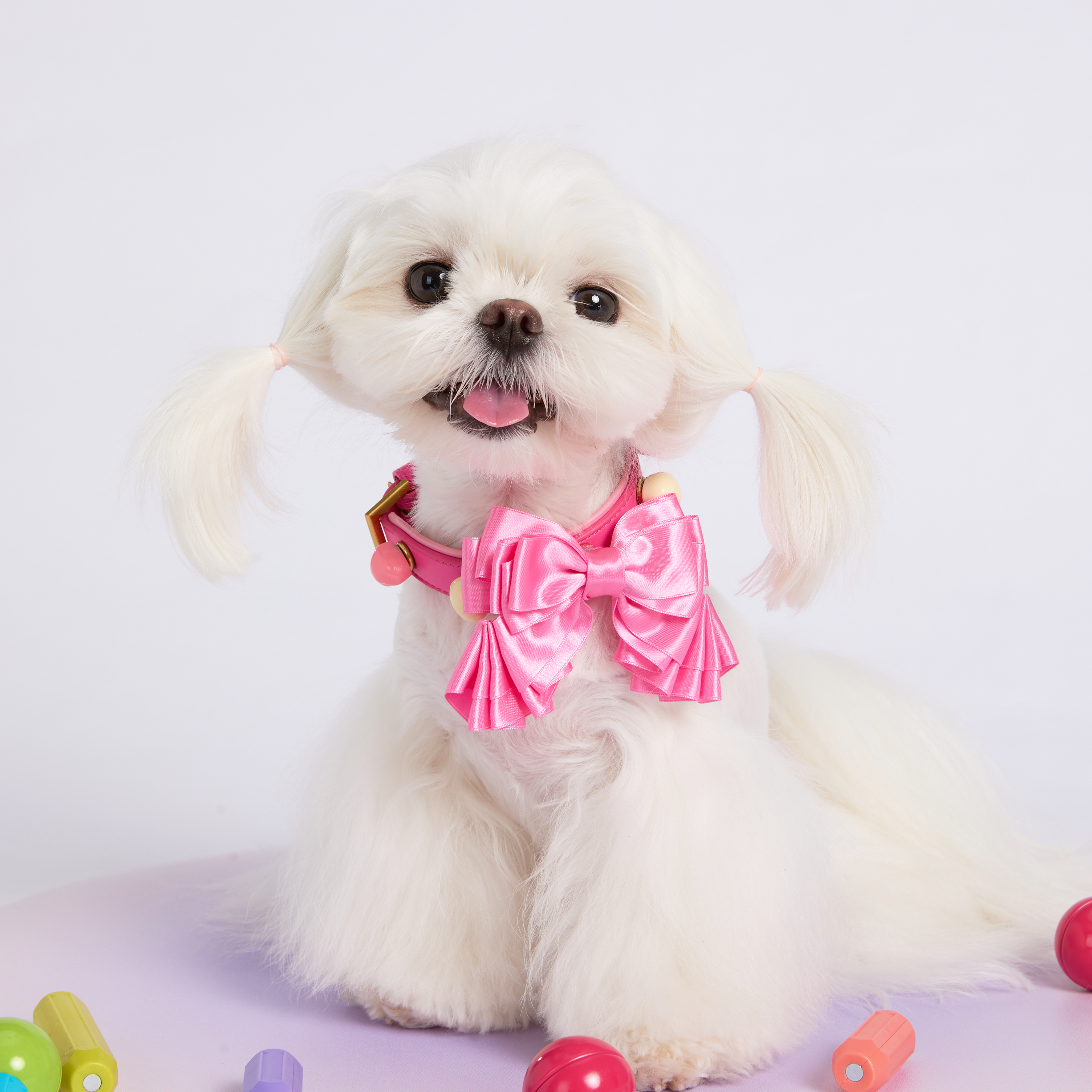 Sweetheart Bow Collar Leash Set