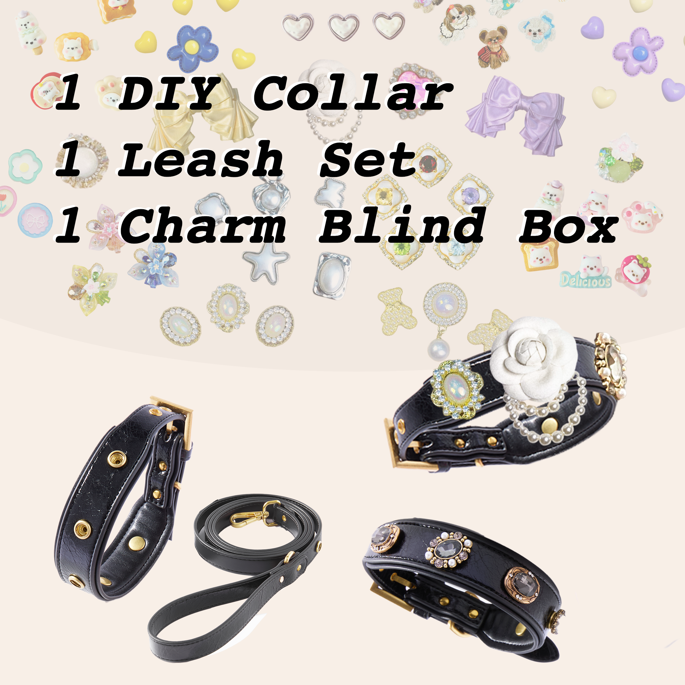 DIY Pet Collar&Leash Set