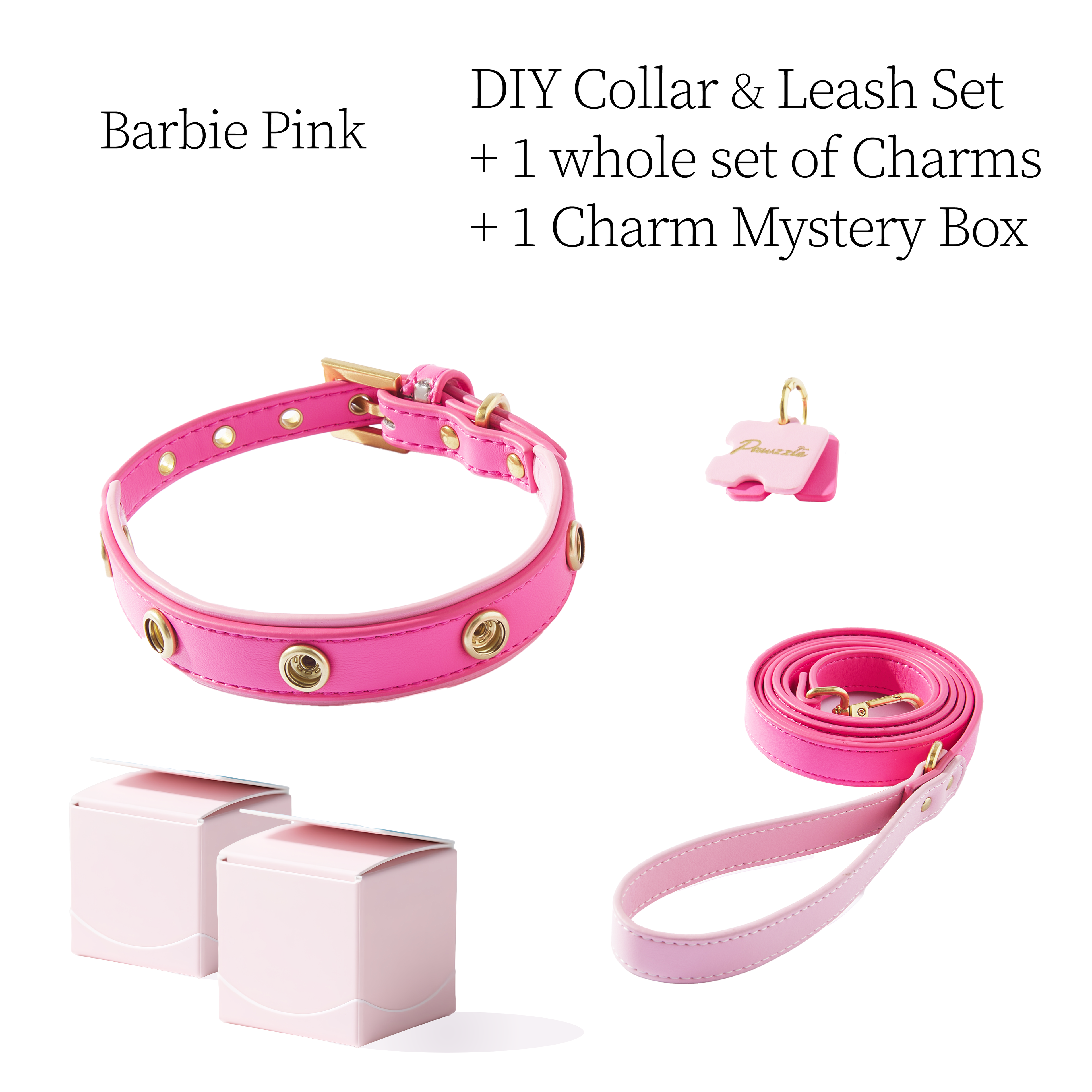 DIY Pet Collar+Leash+Charm Set