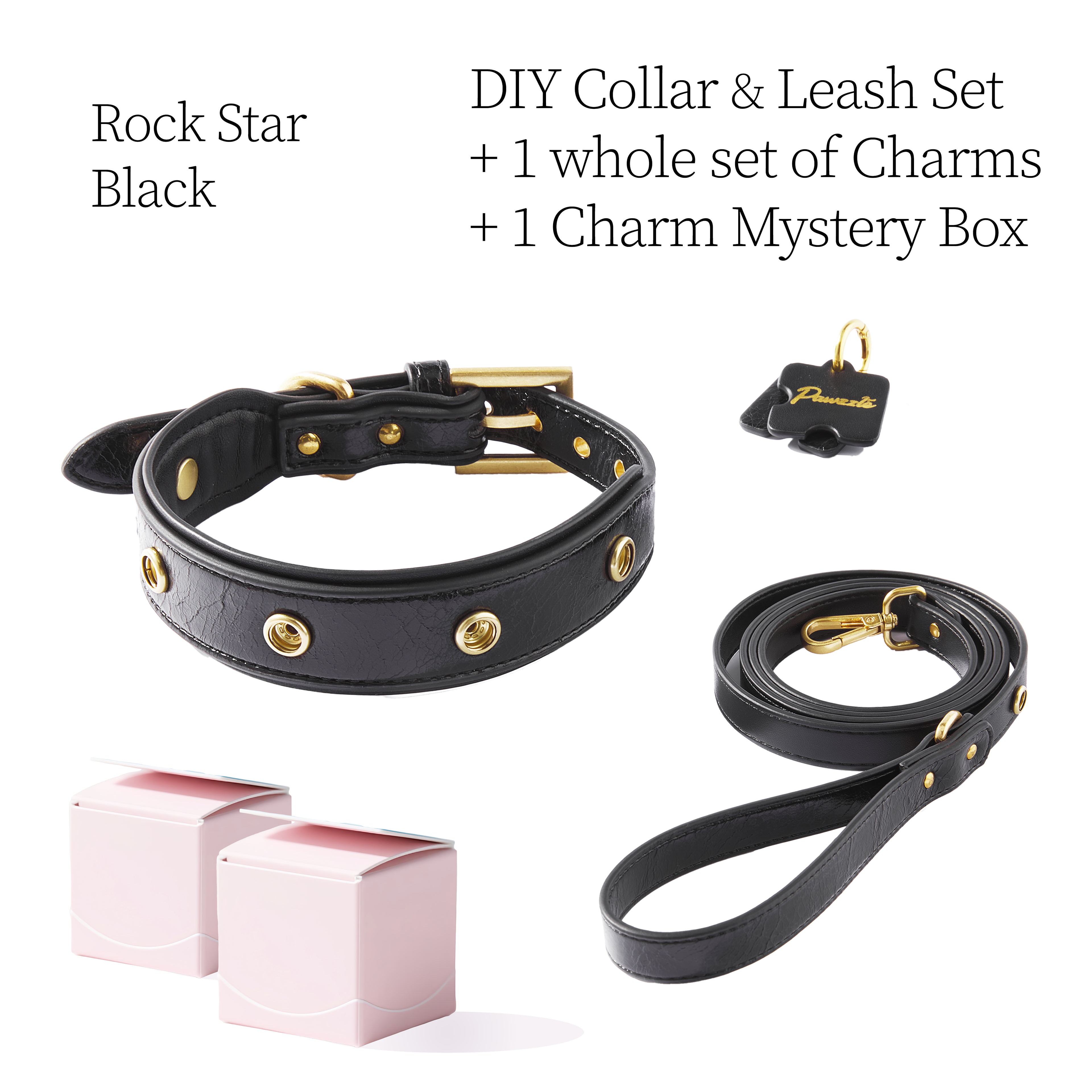 DIY Pet Collar+Leash+Charm Set