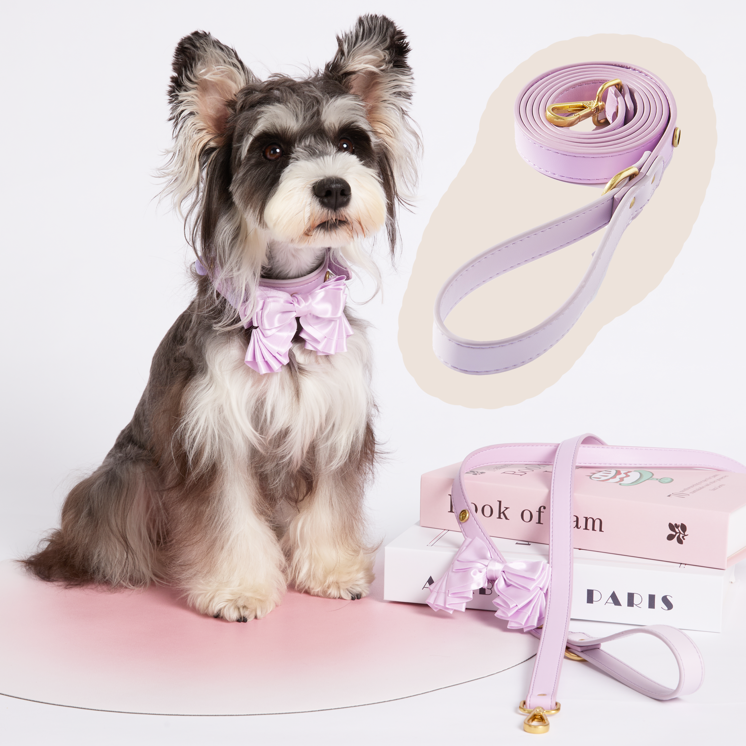 Lavender Purple Pet Leash