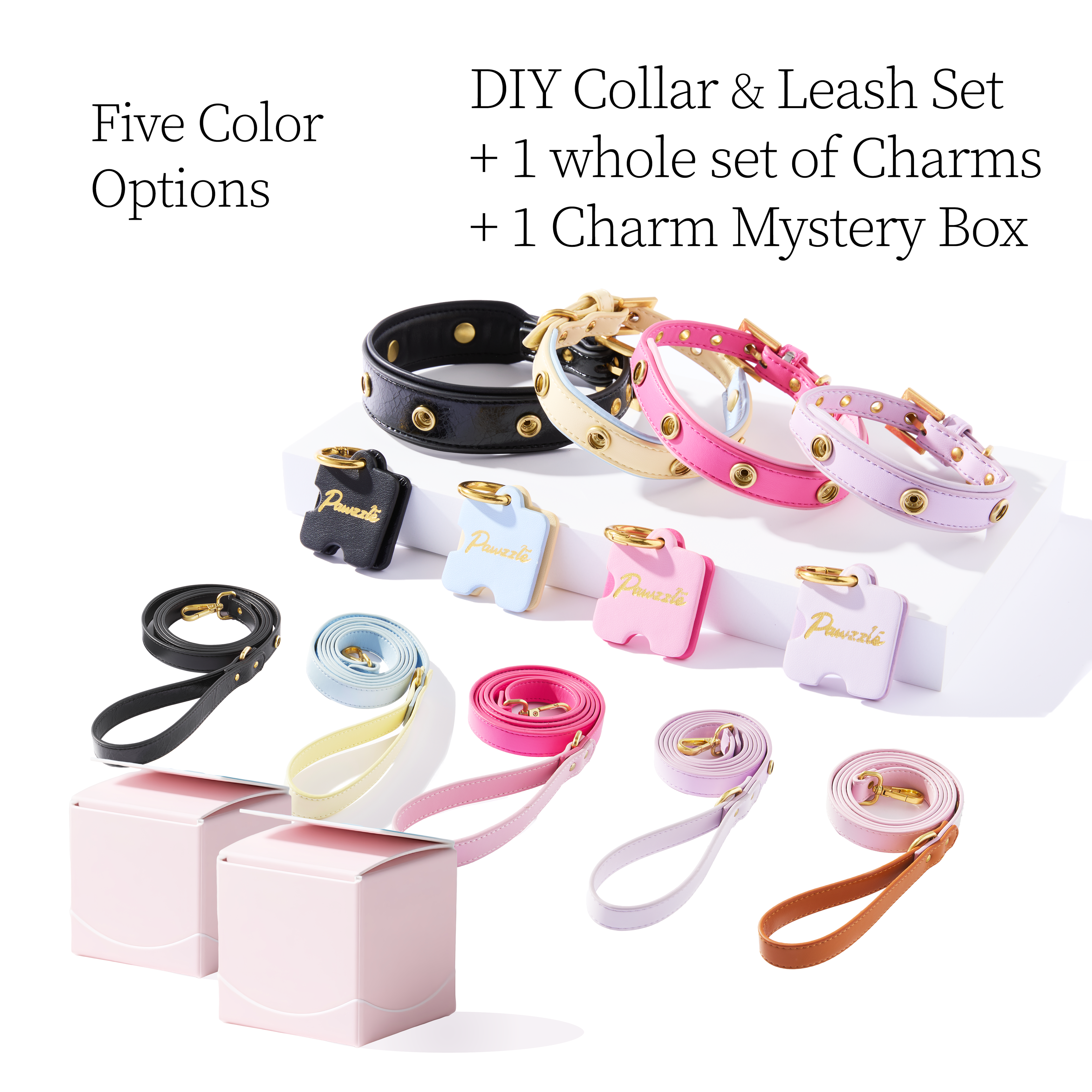 DIY Pet Collar+Leash+Charm Set