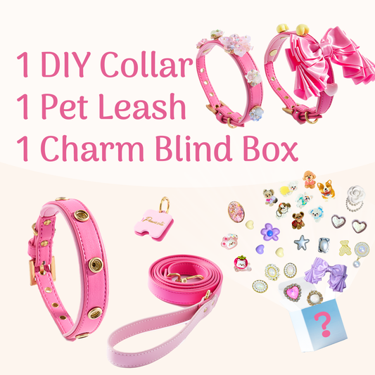 DIY Collar&Leash Set + Charm Blind Box-Four Color to choose