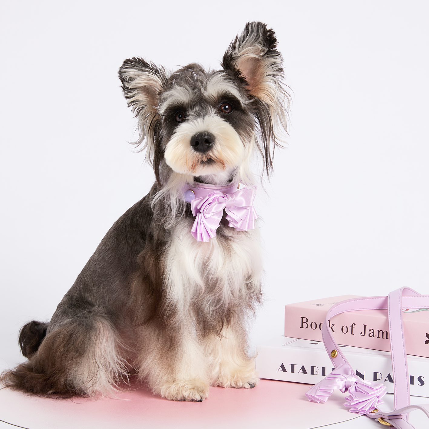 Sweetheart Bow Collar Leash Set