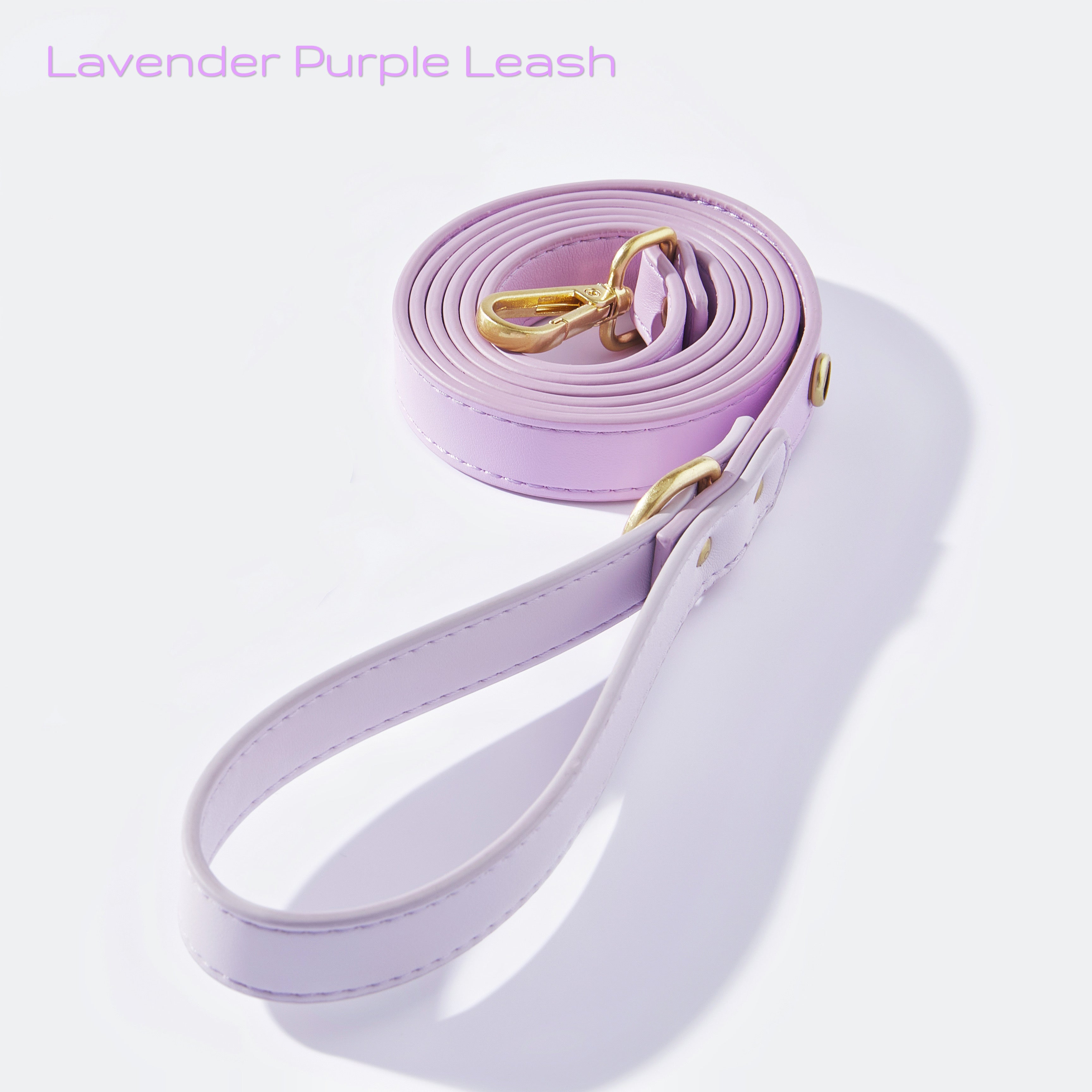 Sweetheart Bow Collar Leash Set