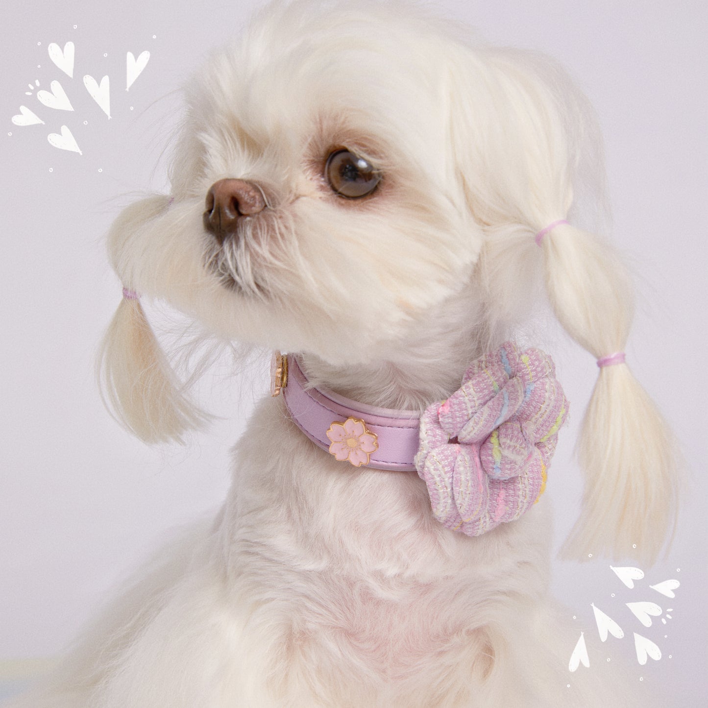 DIY Collar&Leash Set + Charm Blind Box-Four Color to choose