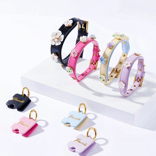 DIY Collar&Leash Set + Charm Blind Box-Four Color to choose