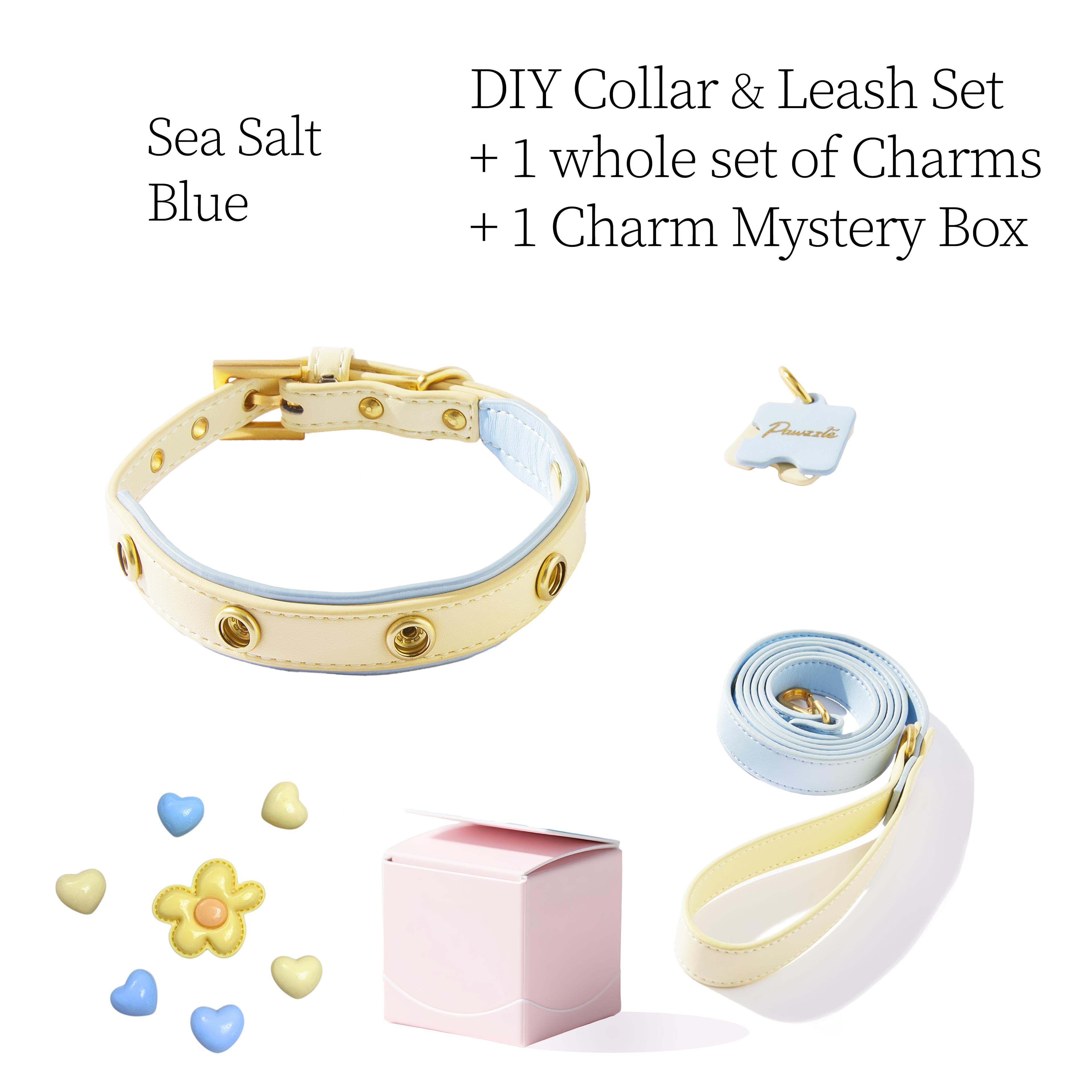 DIY Pet Collar+Leash+Charm Set