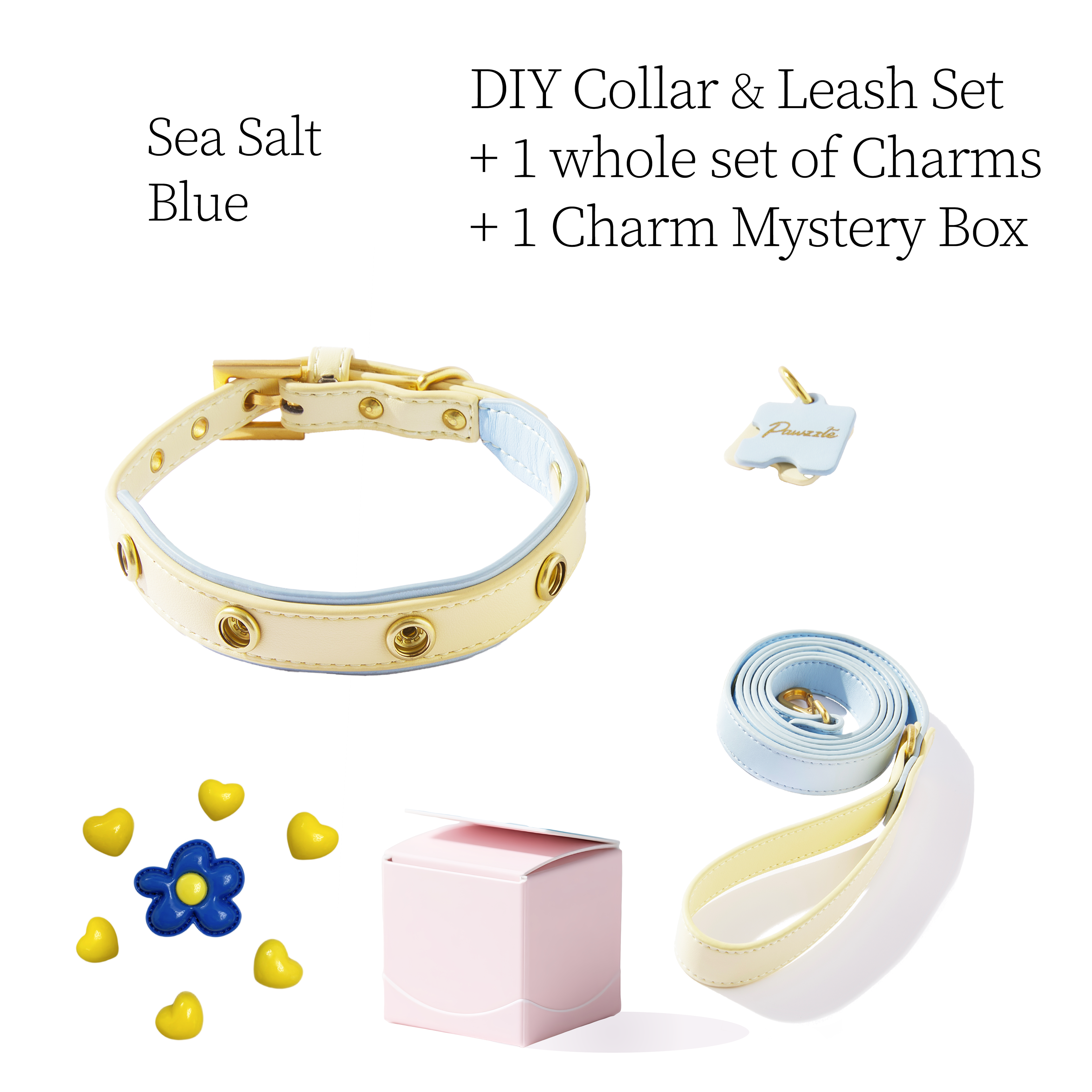 DIY Pet Collar+Leash+Charm Set