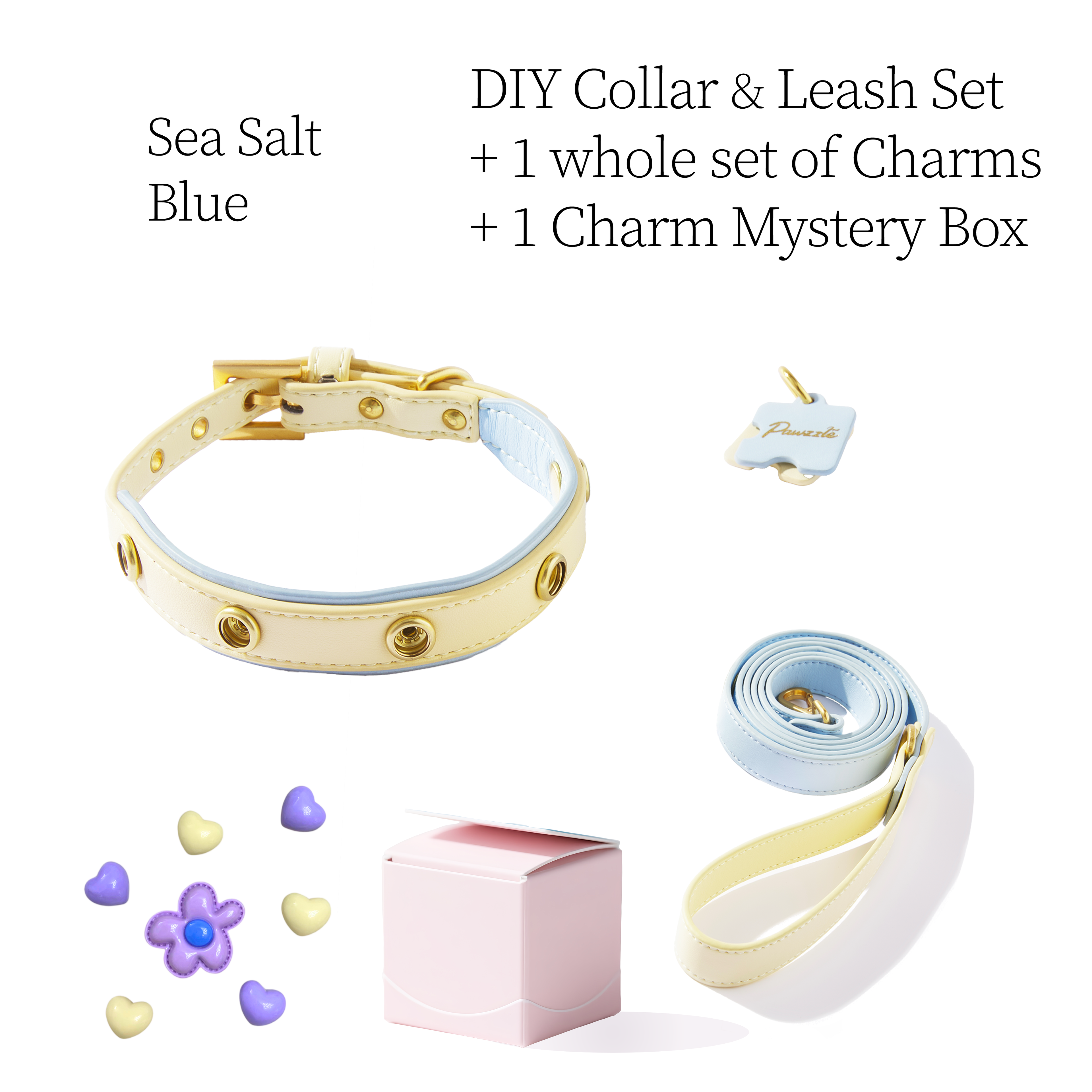 DIY Pet Collar+Leash+Charm Set