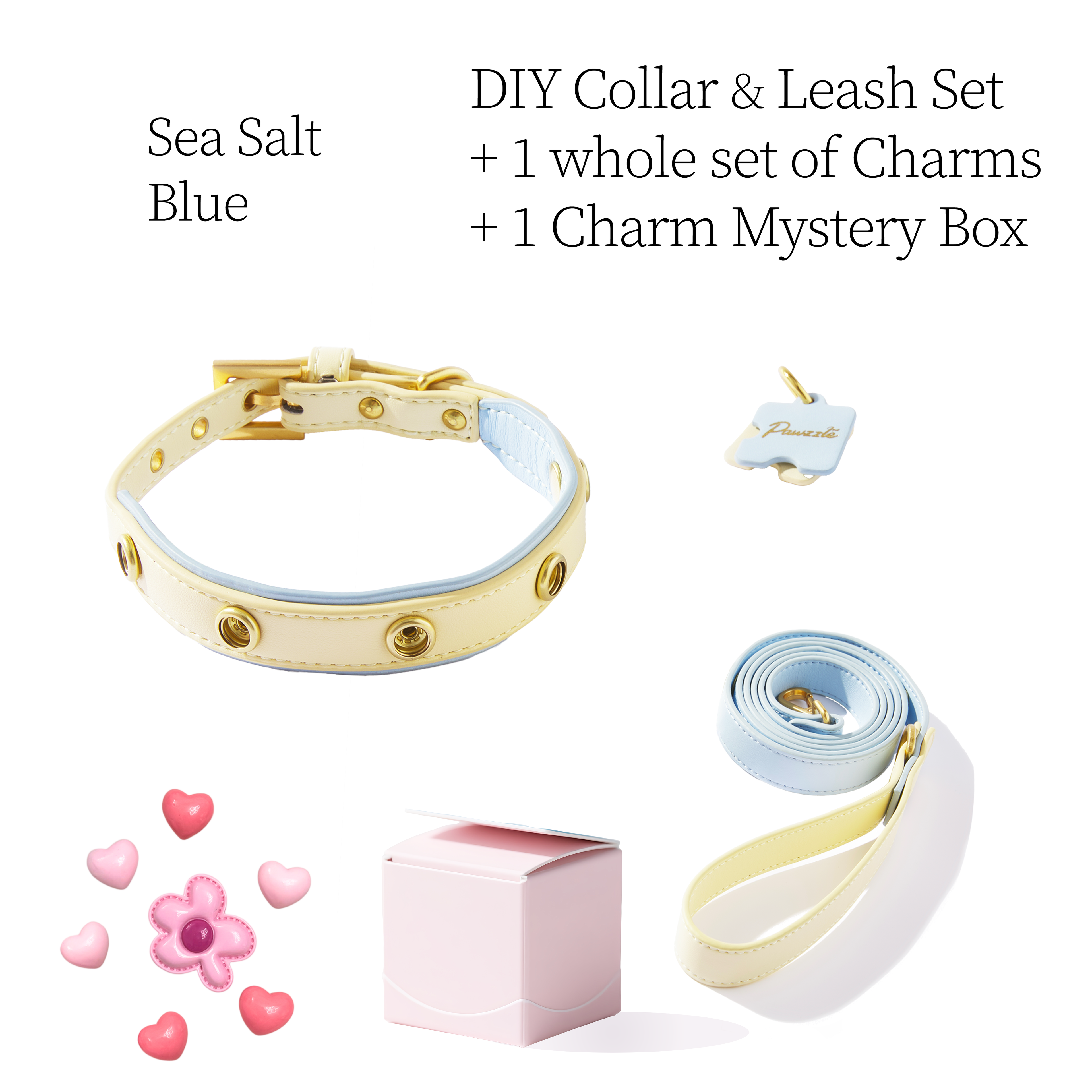 DIY Pet Collar+Leash+Charm Set