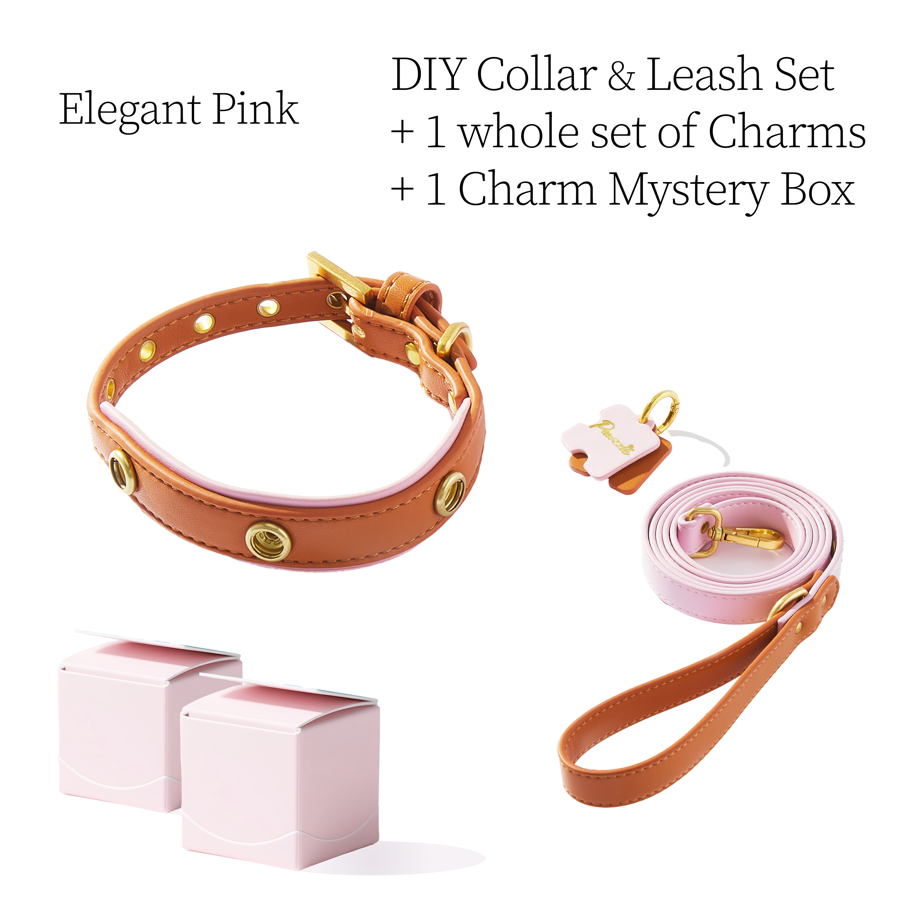 DIY Pet Collar+Leash+Charm Set