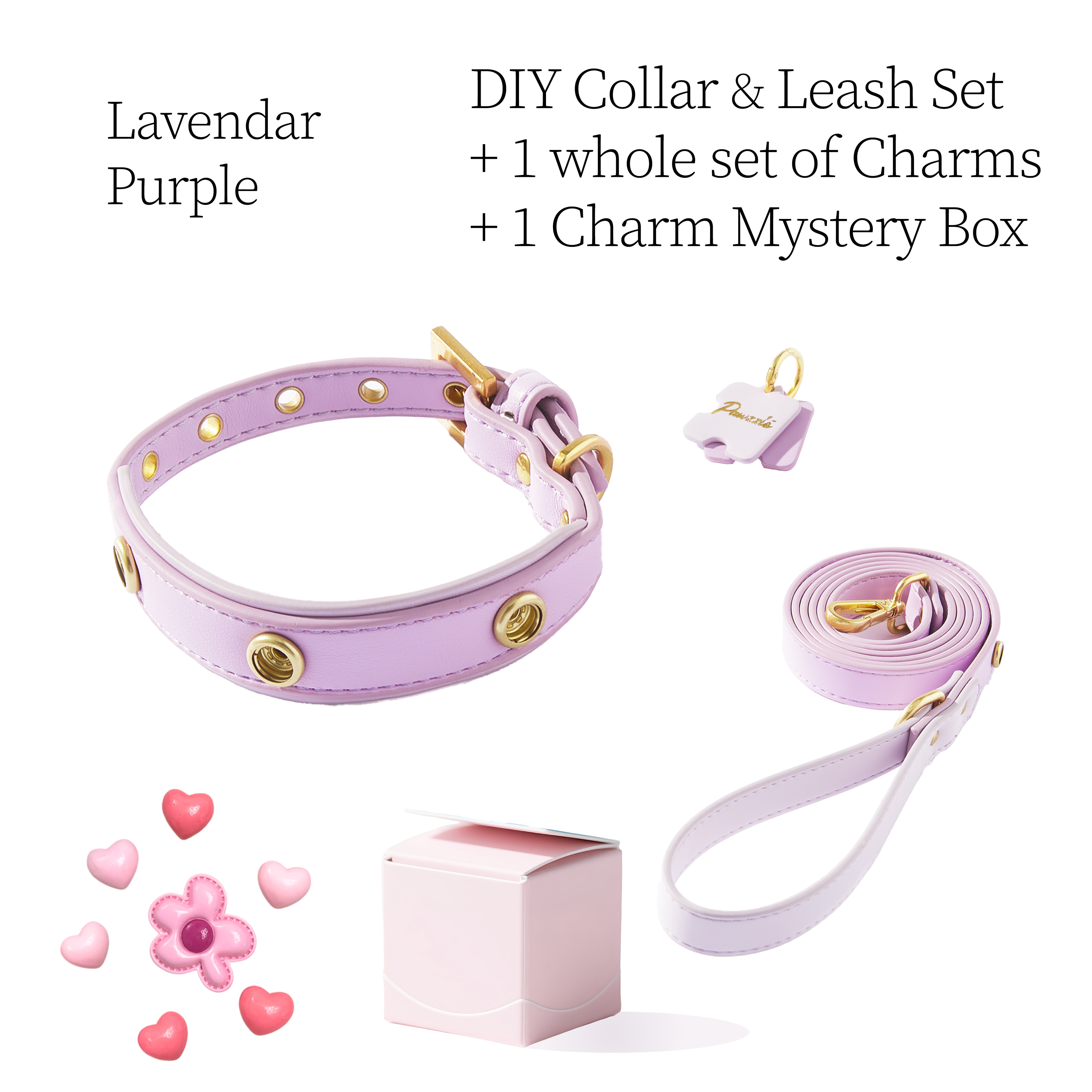 DIY Pet Collar+Leash+Charm Set