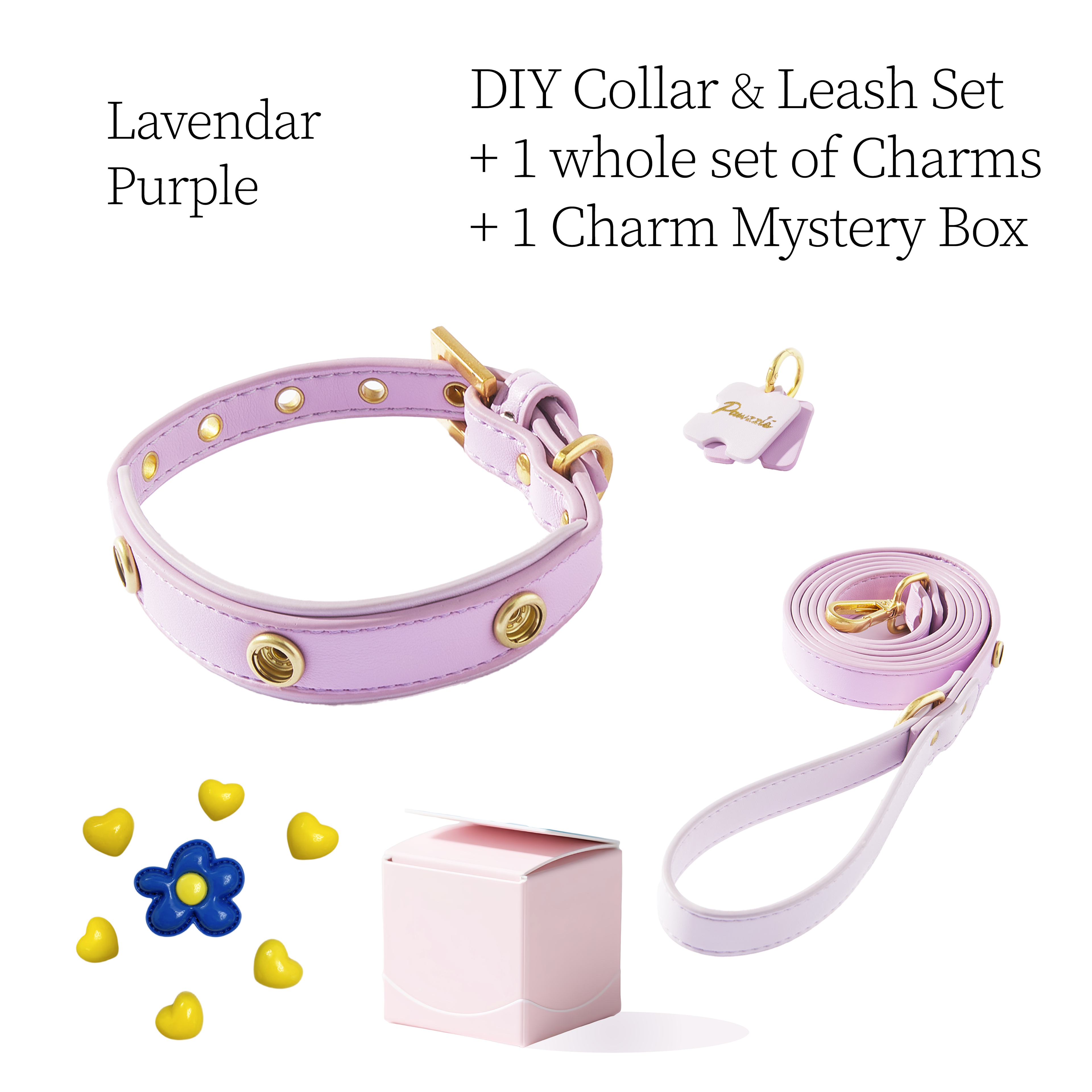DIY Pet Collar+Leash+Charm Set