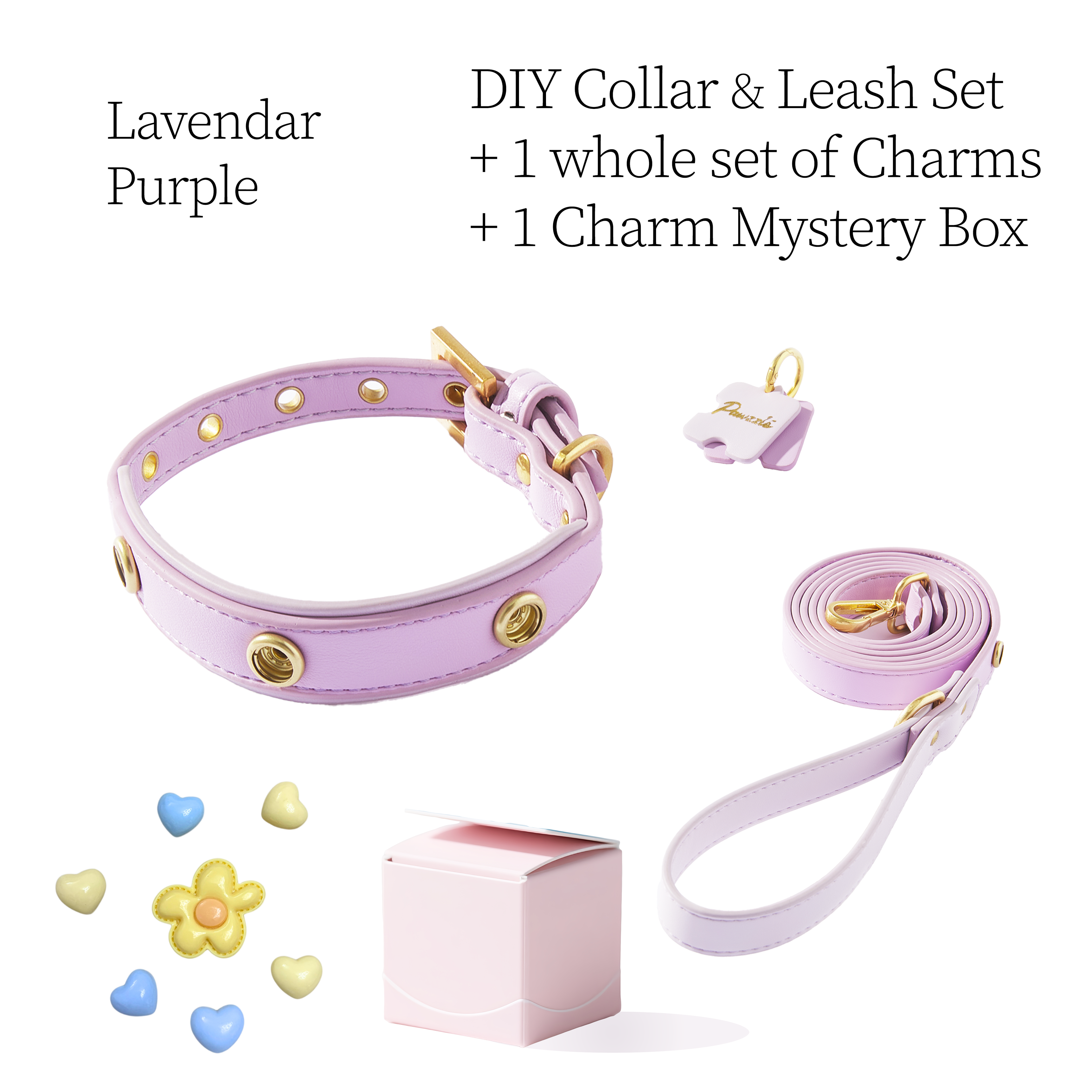 DIY Pet Collar+Leash+Charm Set