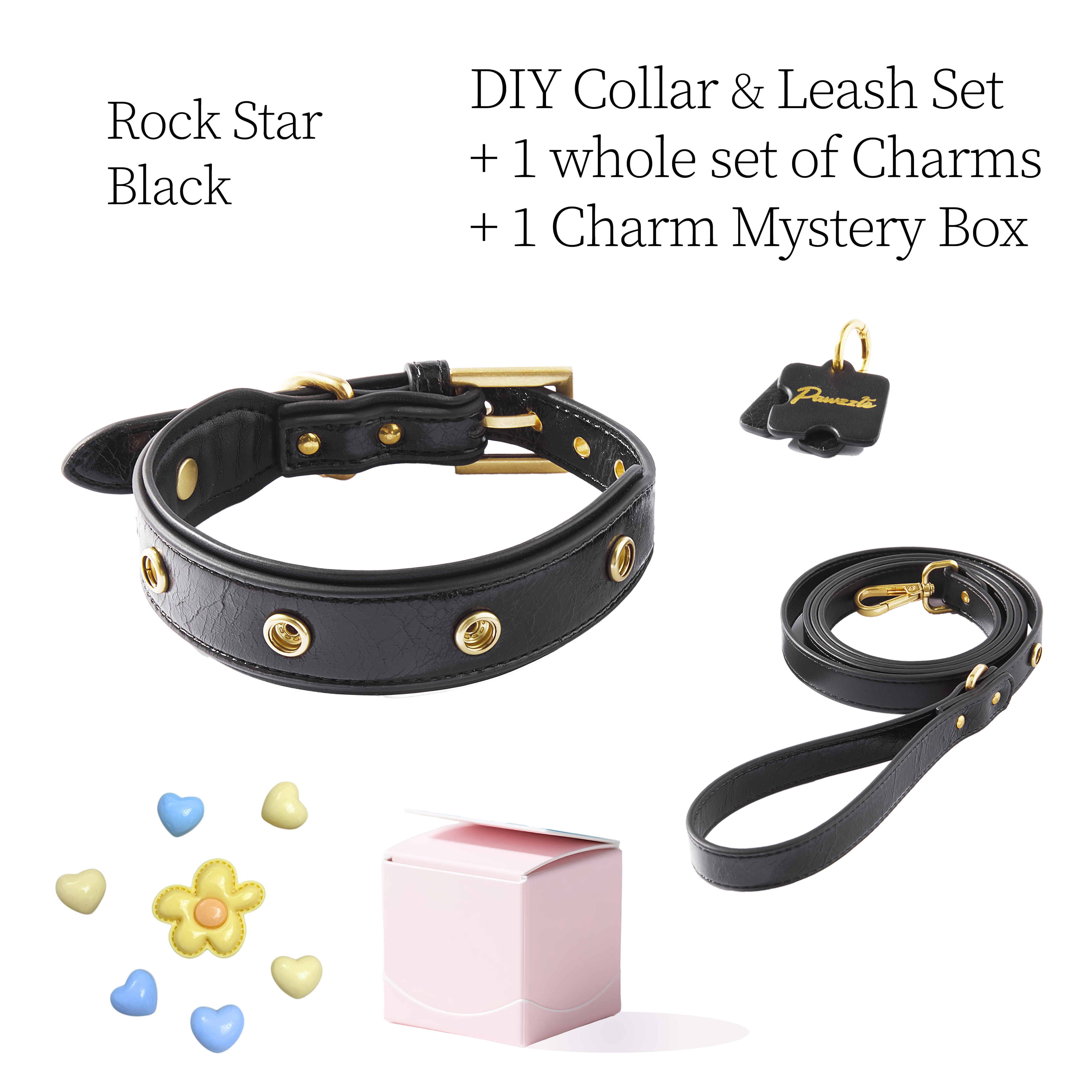 DIY Pet Collar+Leash+Charm Set