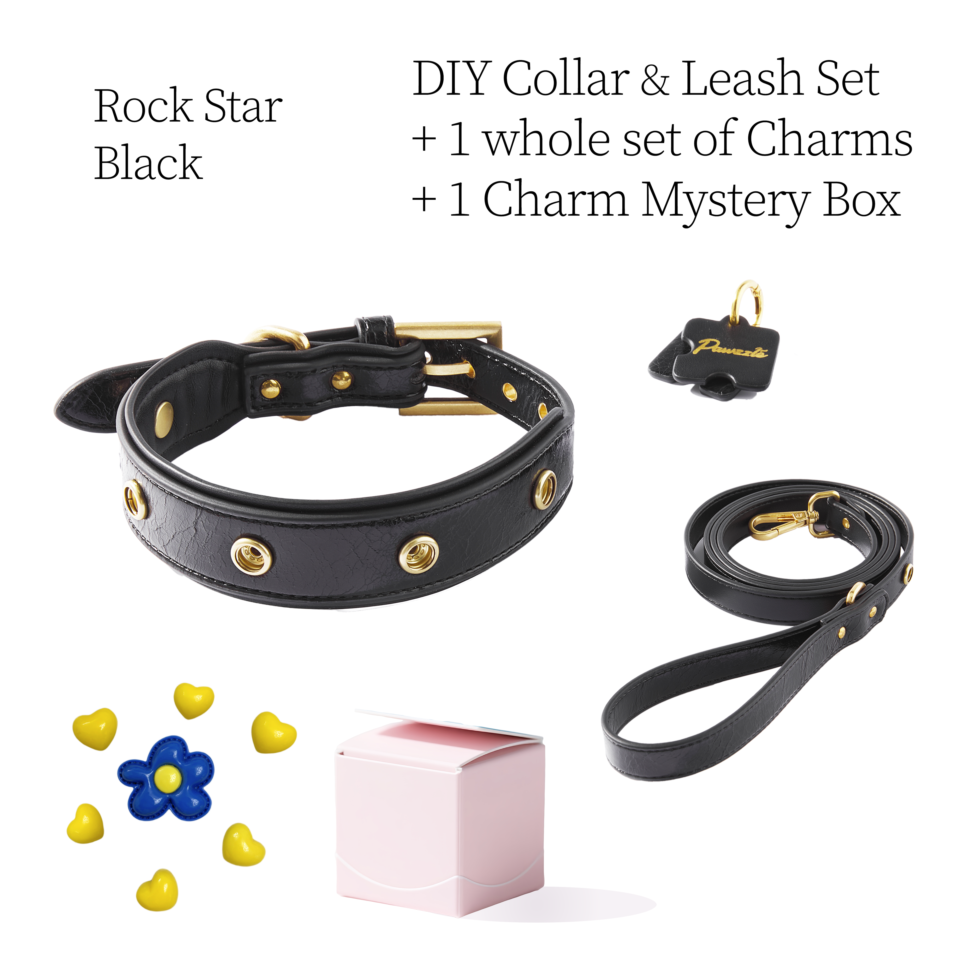 DIY Pet Collar+Leash+Charm Set