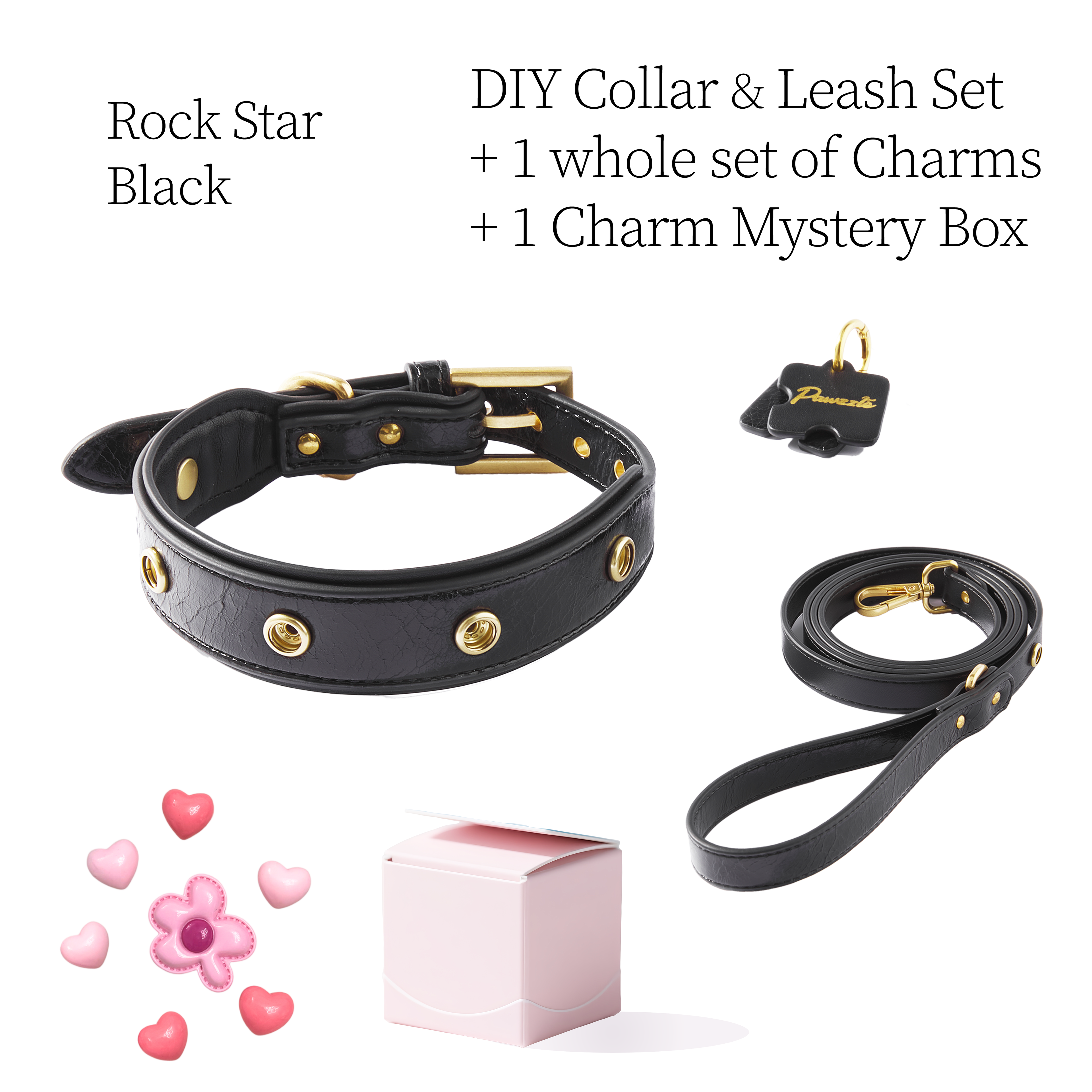 DIY Pet Collar+Leash+Charm Set