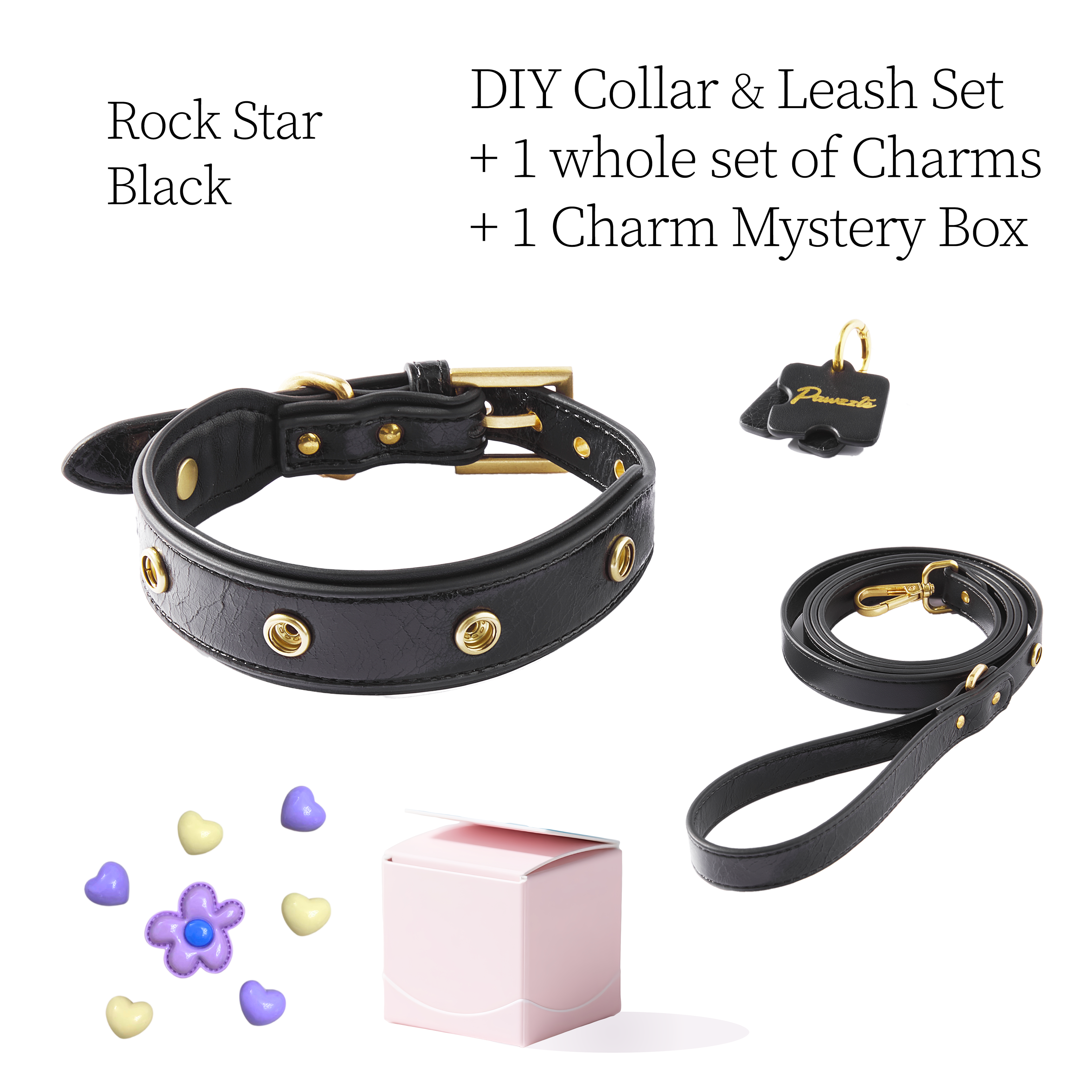 DIY Pet Collar+Leash+Charm Set