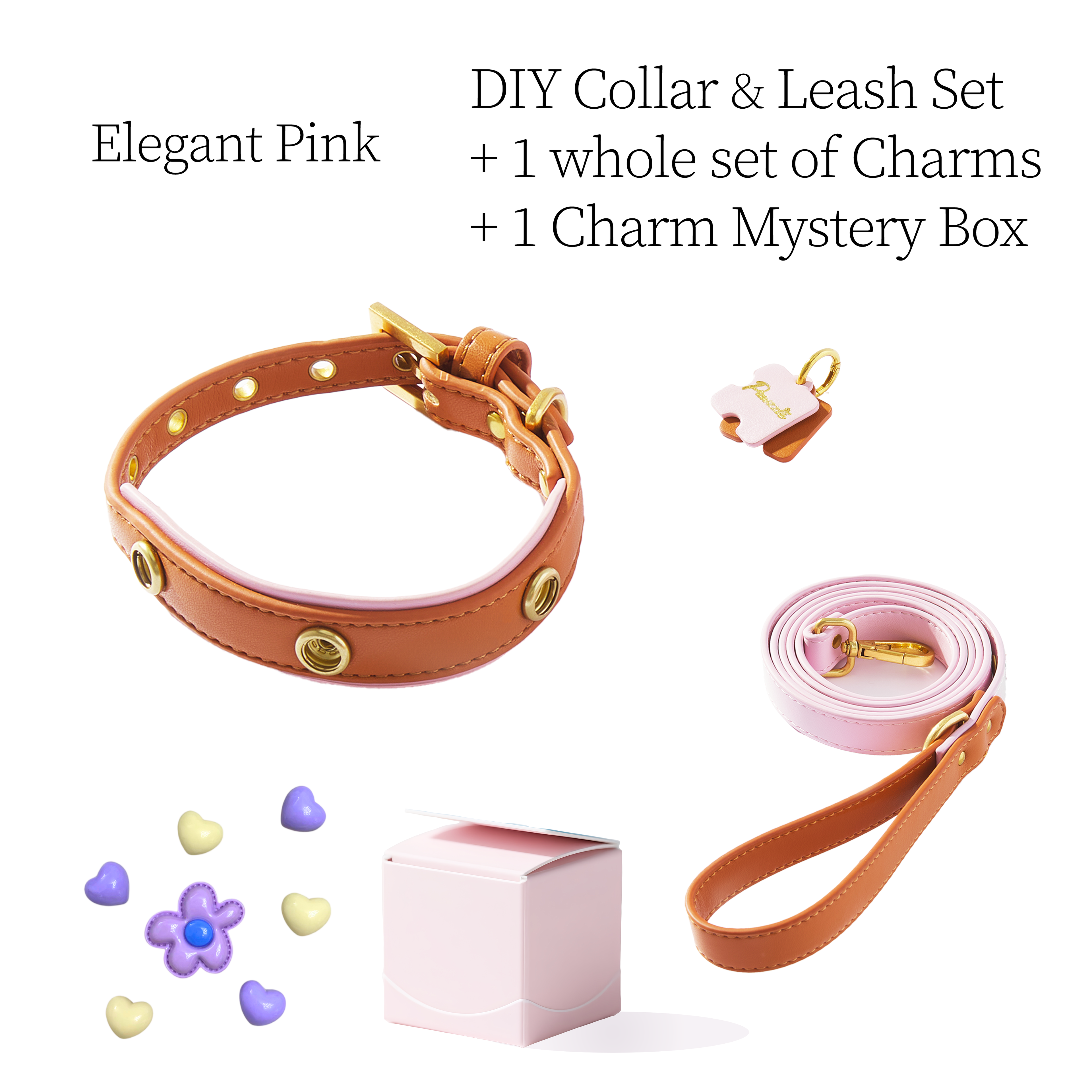 DIY Pet Collar+Leash+Charm Set