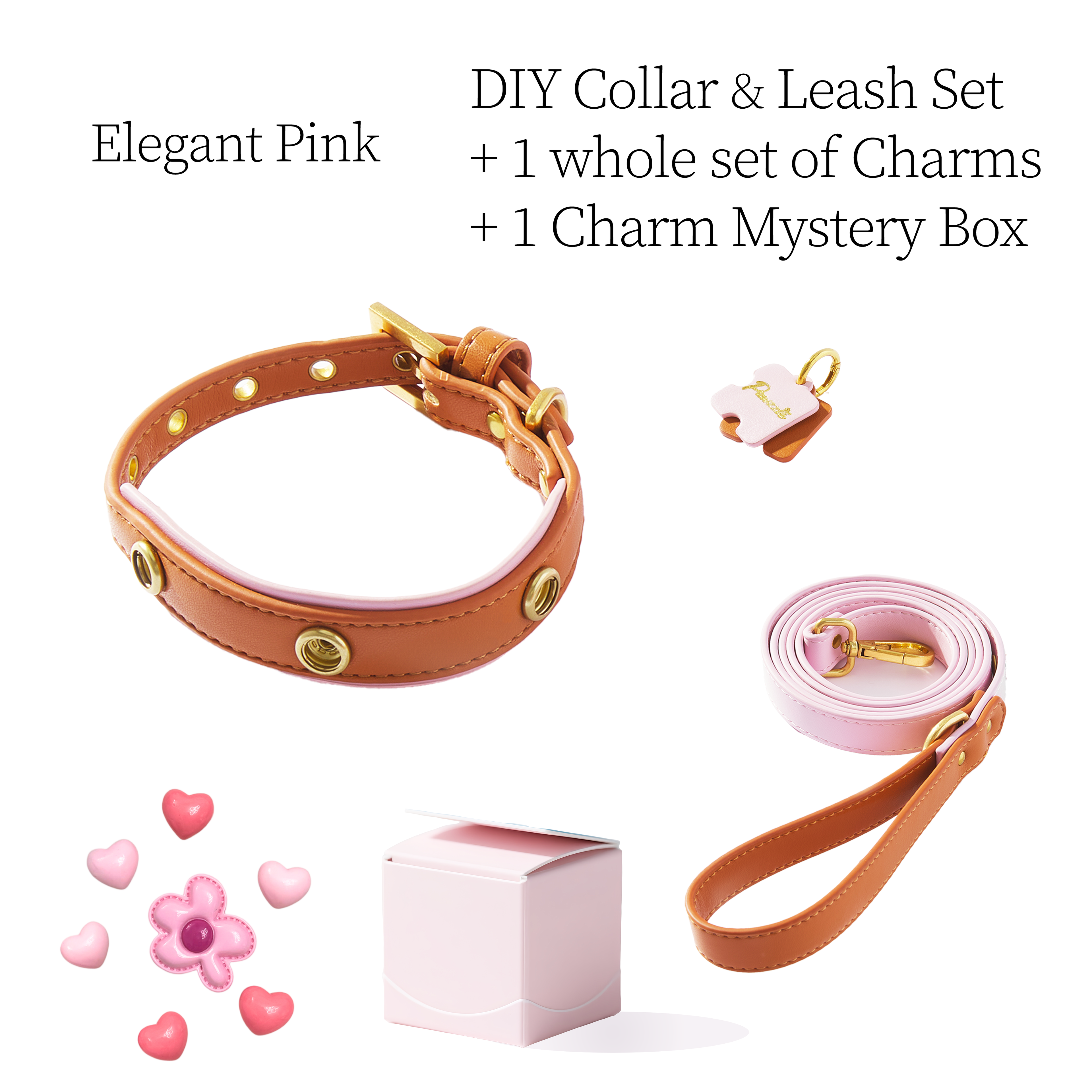DIY Pet Collar+Leash+Charm Set
