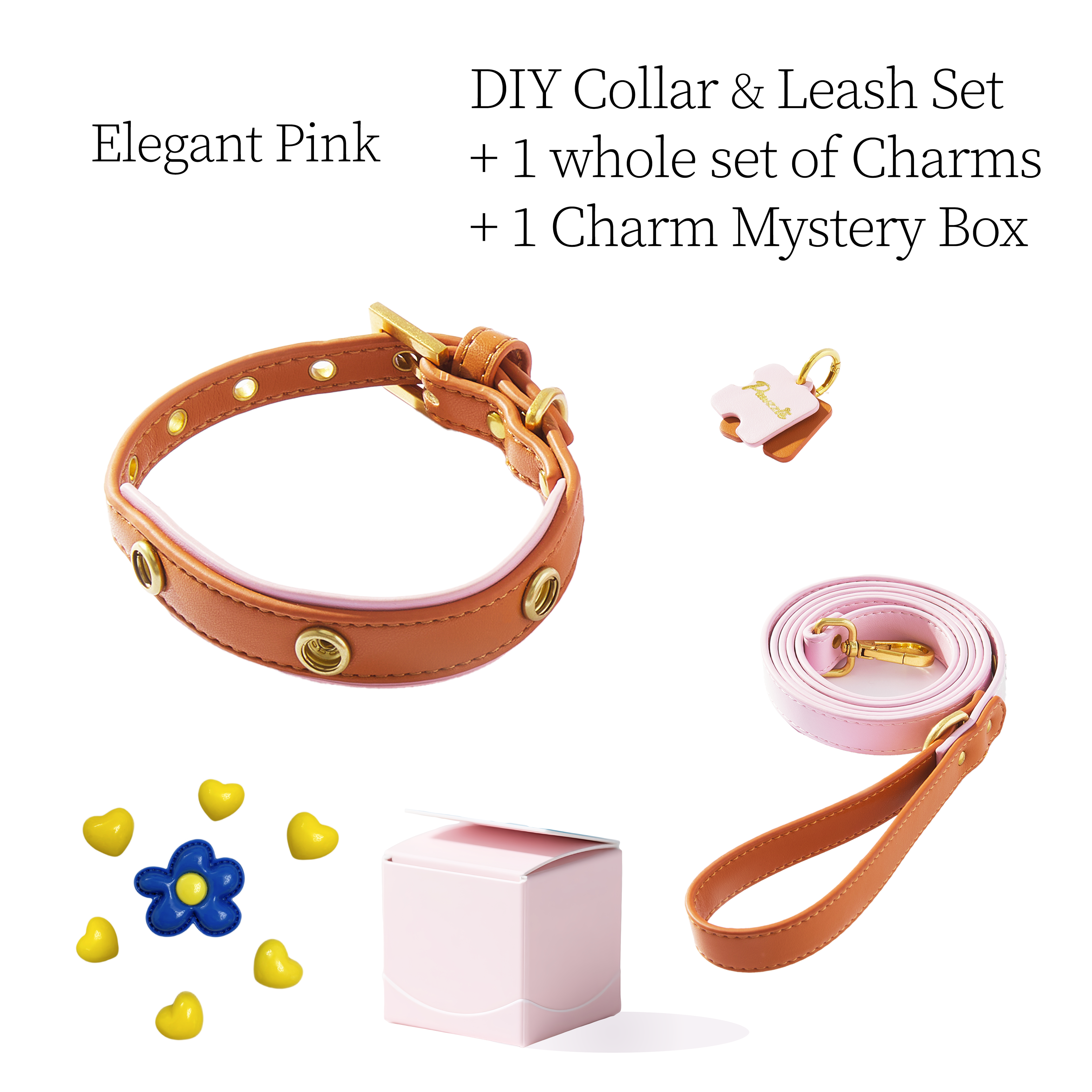 DIY Pet Collar+Leash+Charm Set
