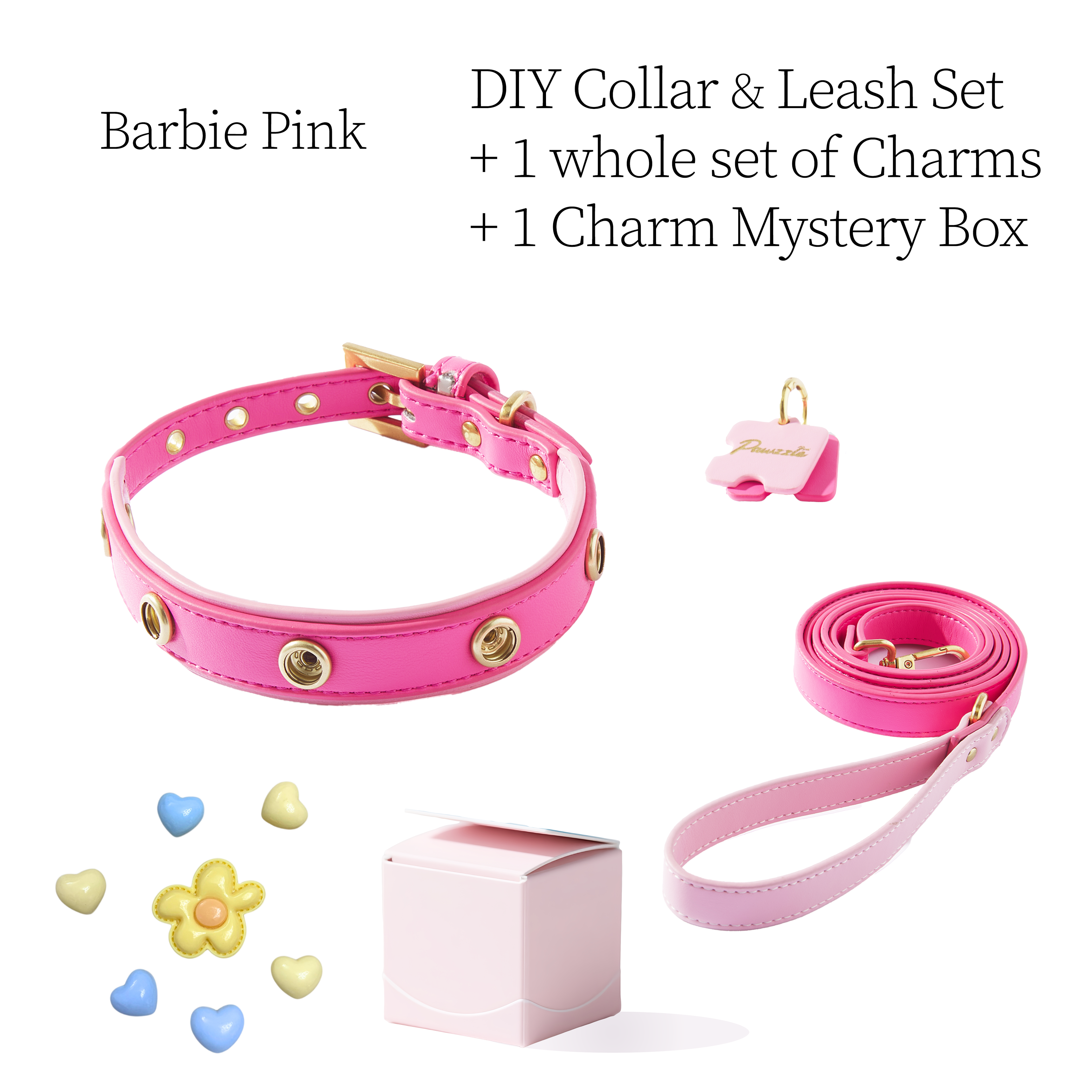 DIY Pet Collar+Leash+Charm Set