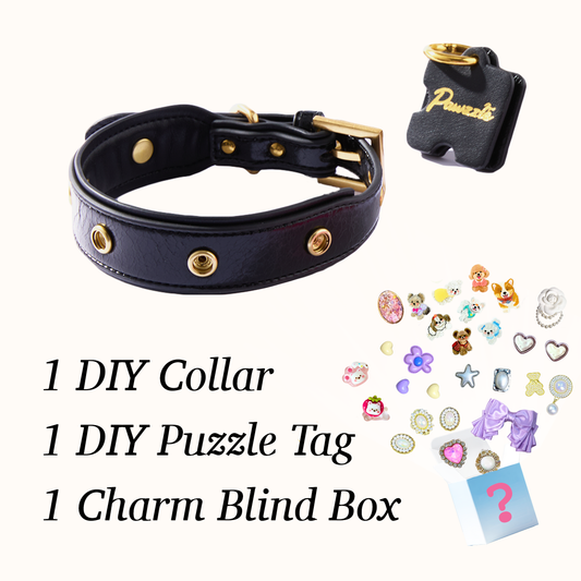 DIY Collar Set + Charm Blind Box-Rock Star Black
