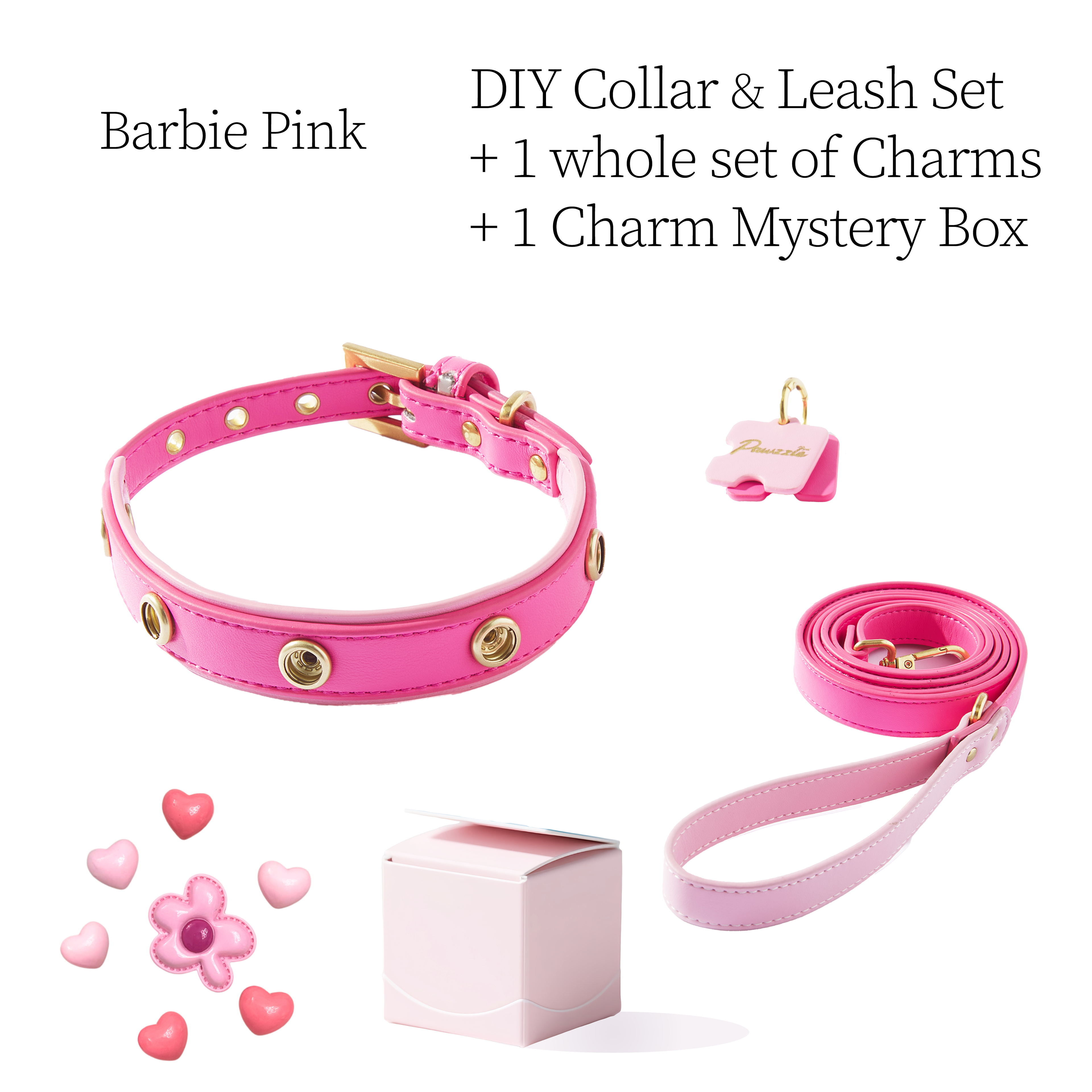 DIY Pet Collar+Leash+Charm Set