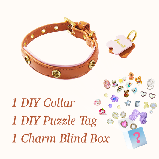 DIY Collar Set + Charm Blind Box-Elegant Brown