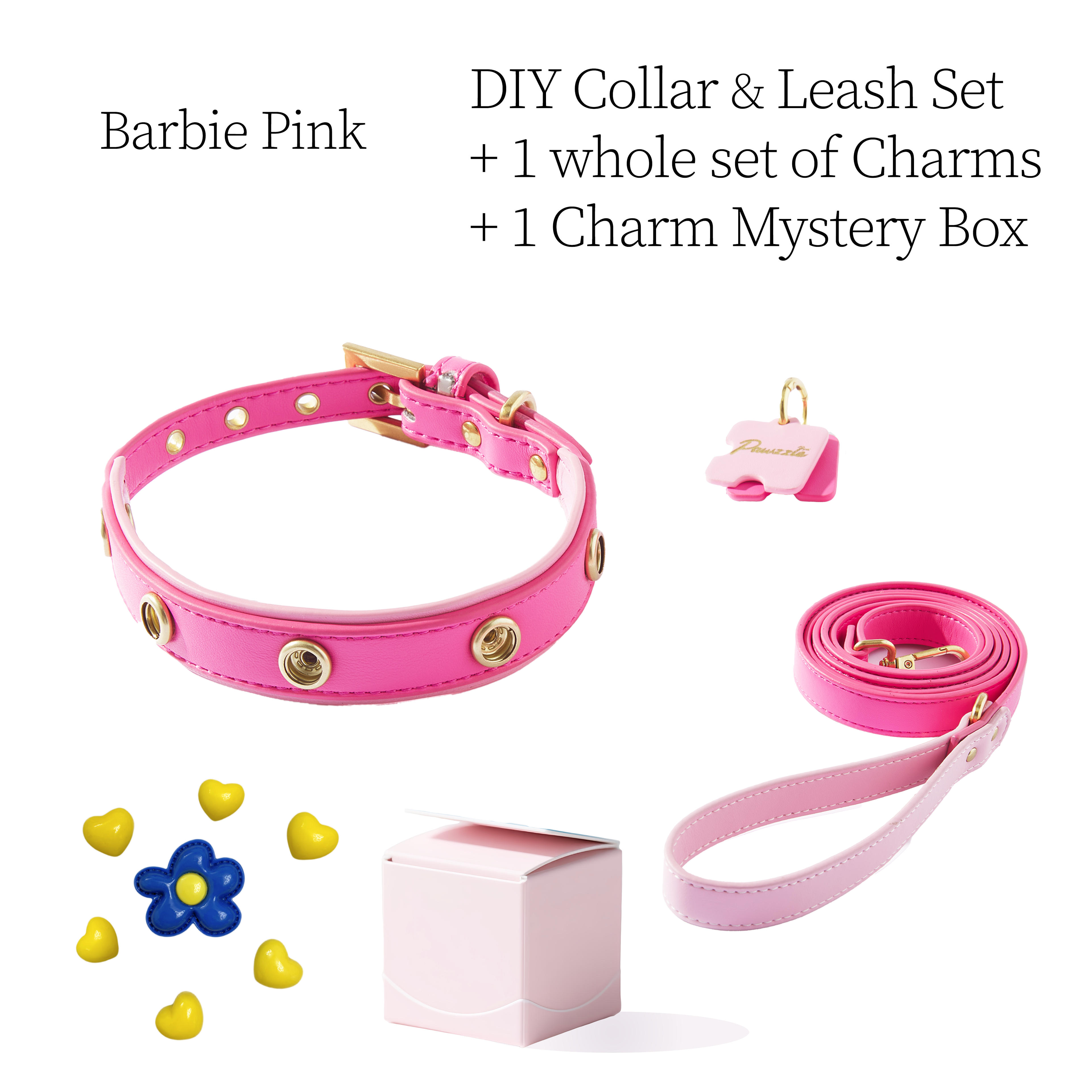 DIY Pet Collar+Leash+Charm Set