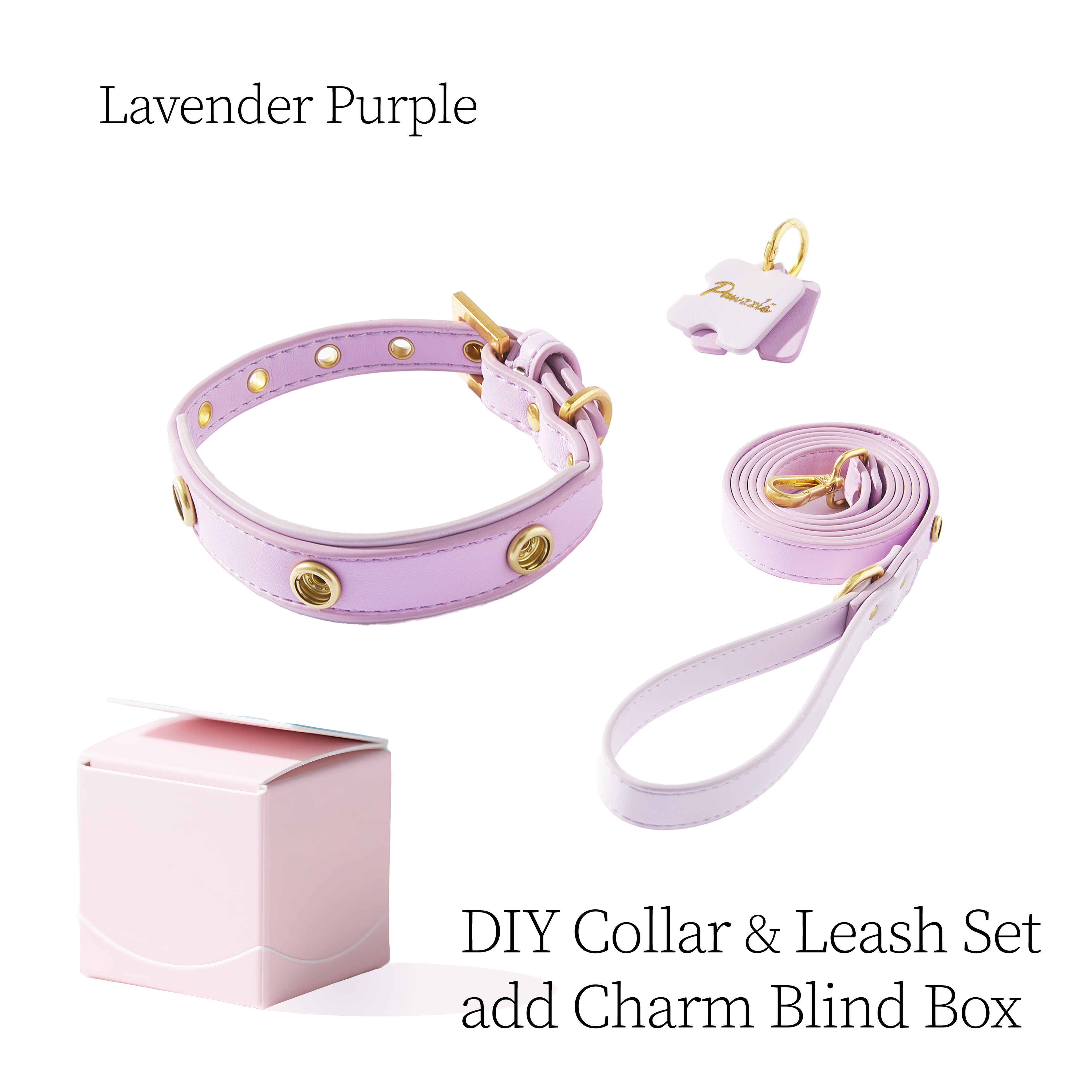 DIY Pet Collar&Leash Set