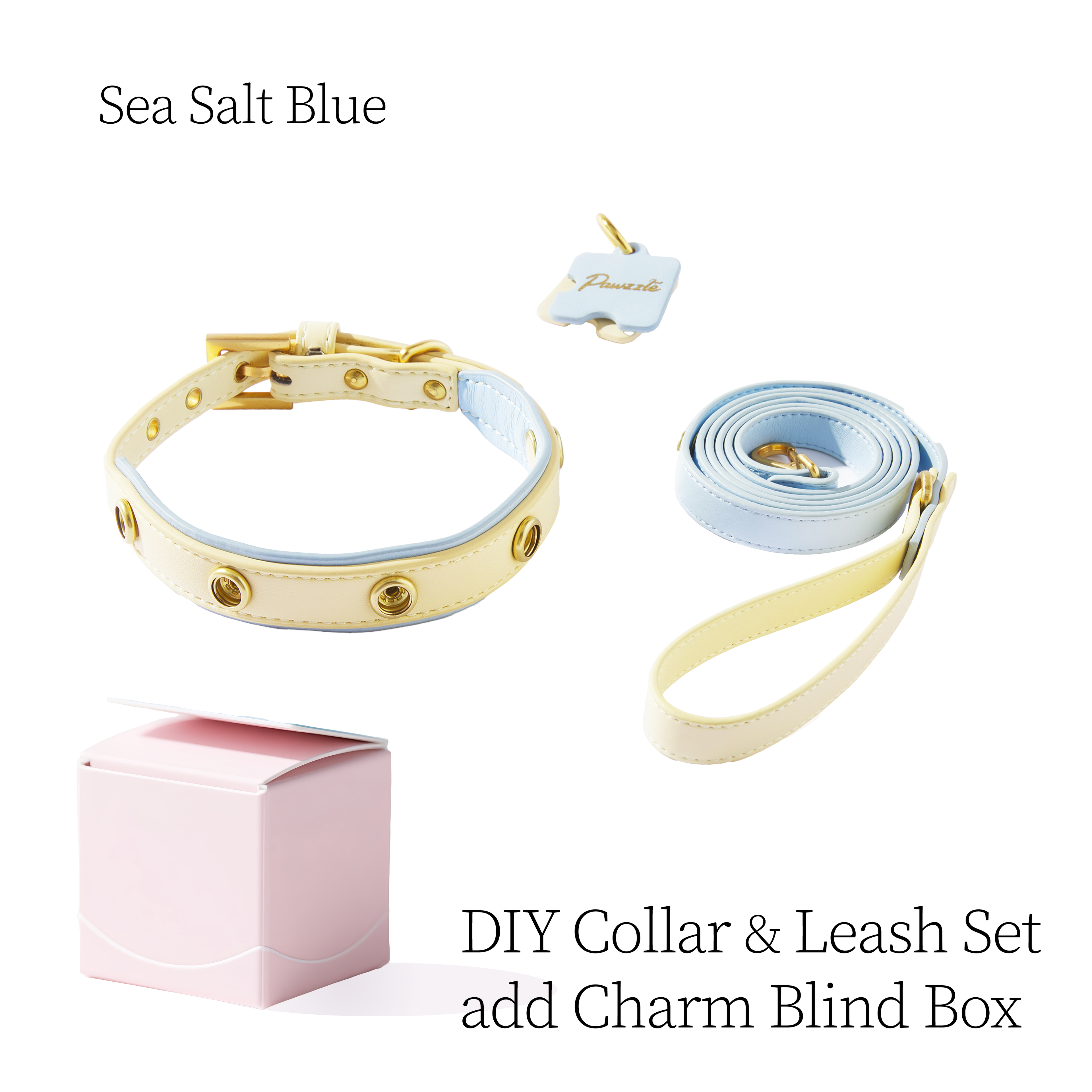 DIY Pet Collar&Leash Set