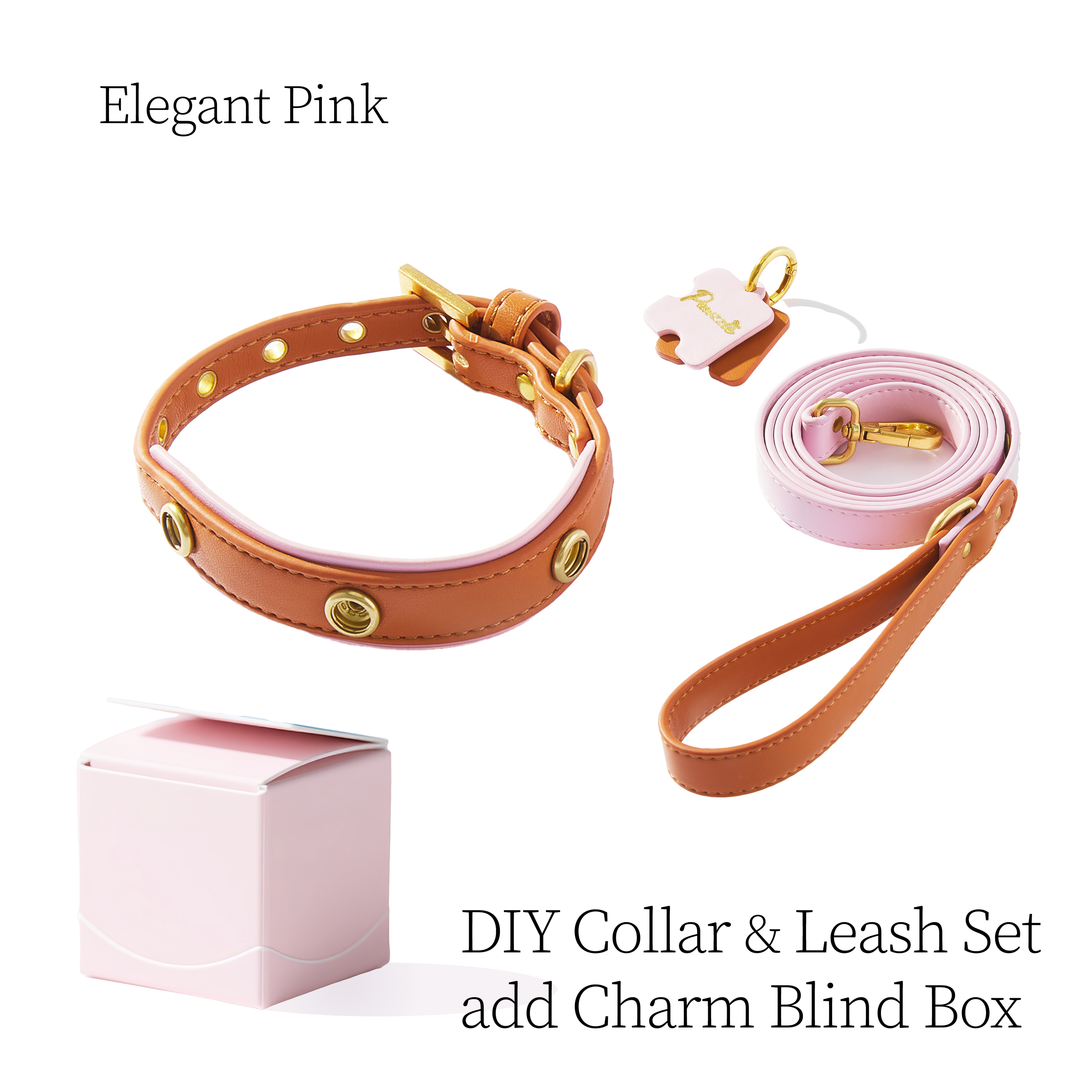 DIY Pet Collar&Leash Set