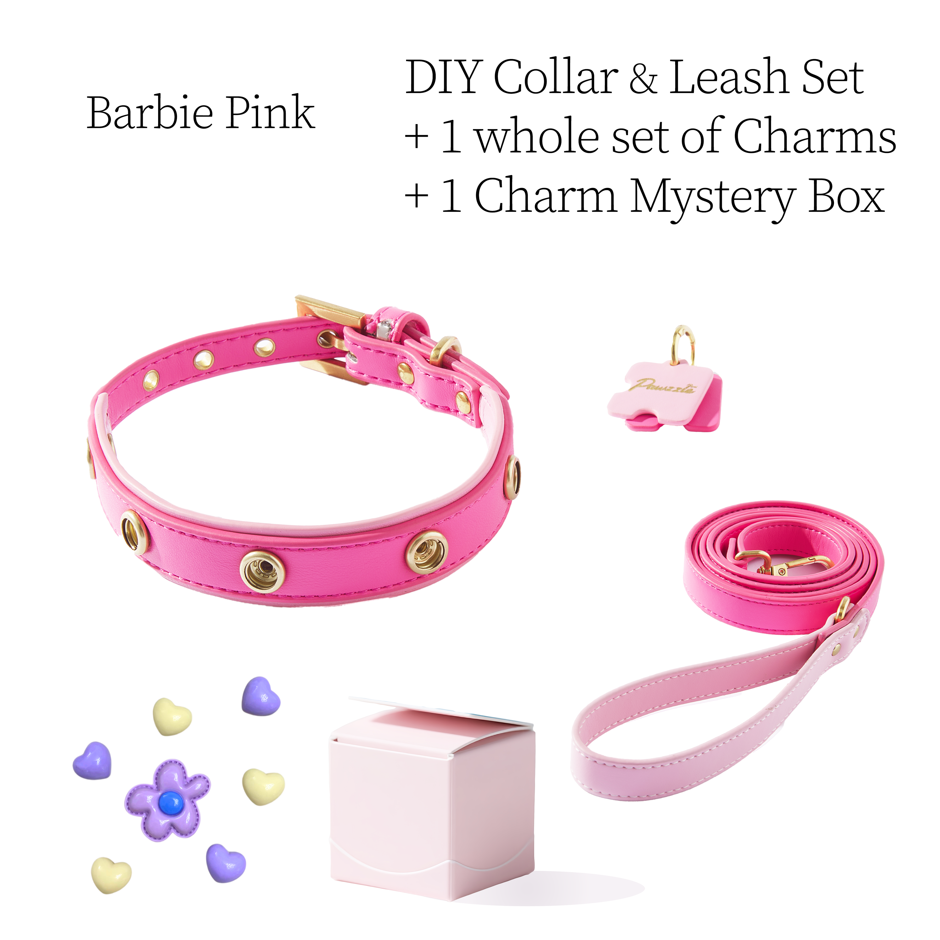 DIY Pet Collar+Leash+Charm Set