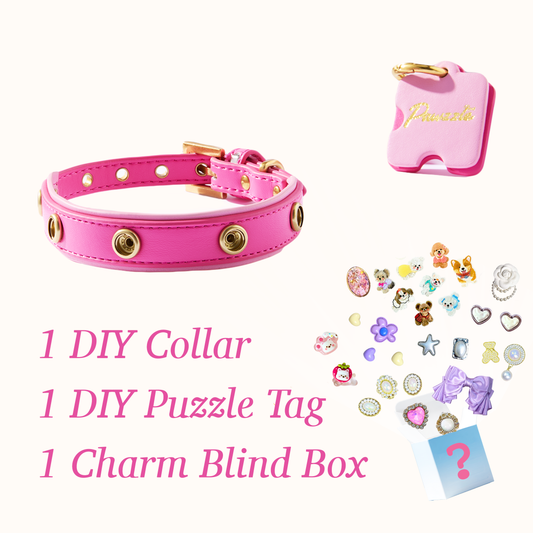 DIY Collar Set + Charm Blind Box-Barbie Pink
